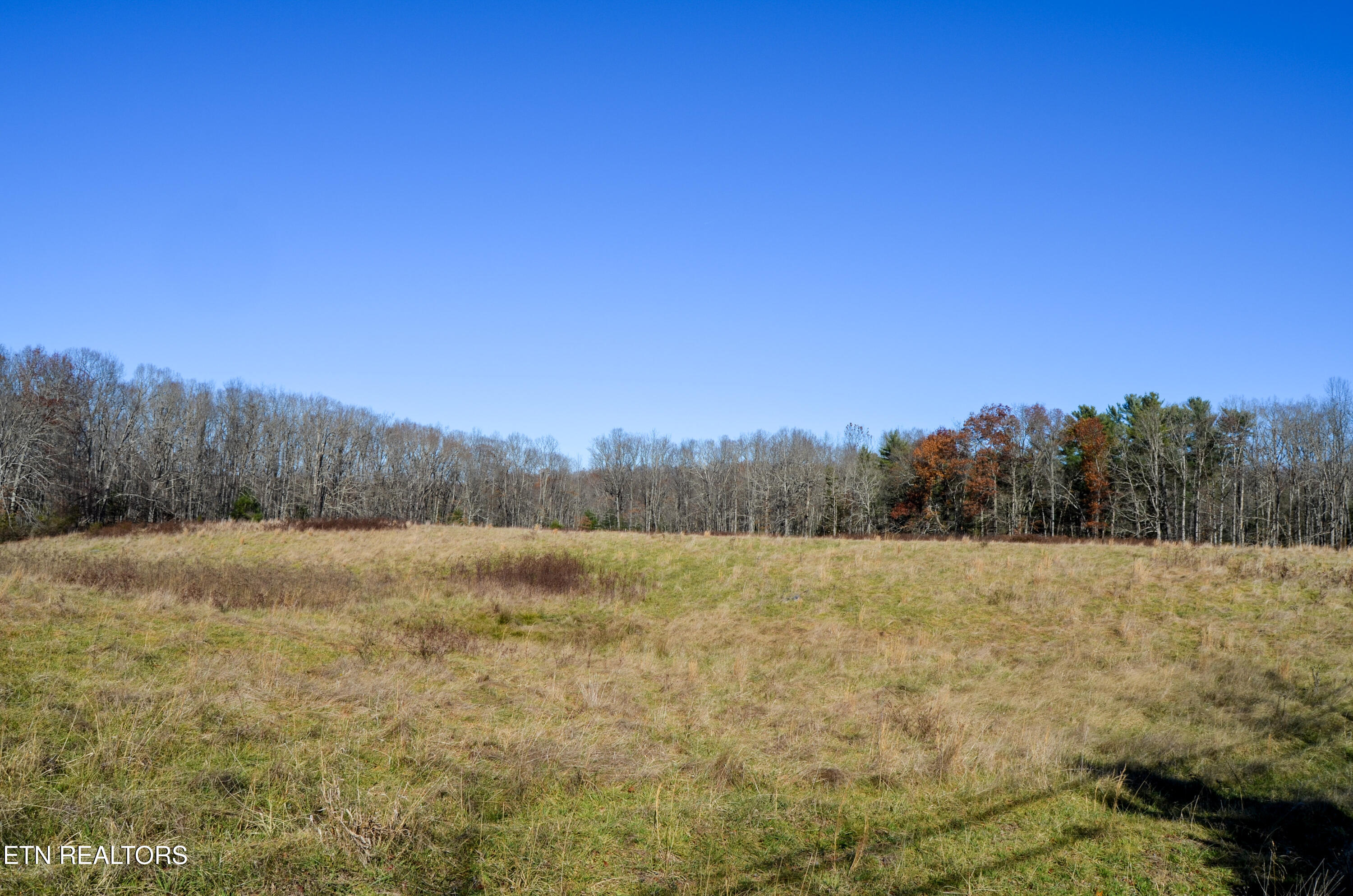 63.3 Acres Crossville, TN 38571 - Photo 21 of 60 58-DSC_0696