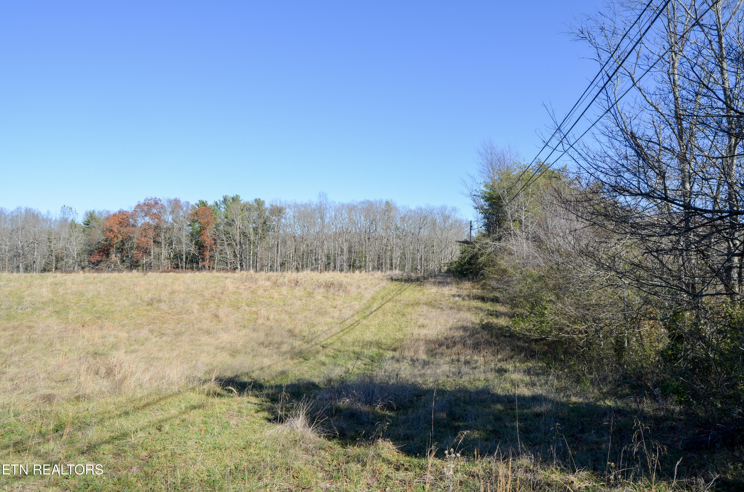 63.3 Acres Crossville, TN 38571 - Photo 22 of 60 59-DSC_0695
