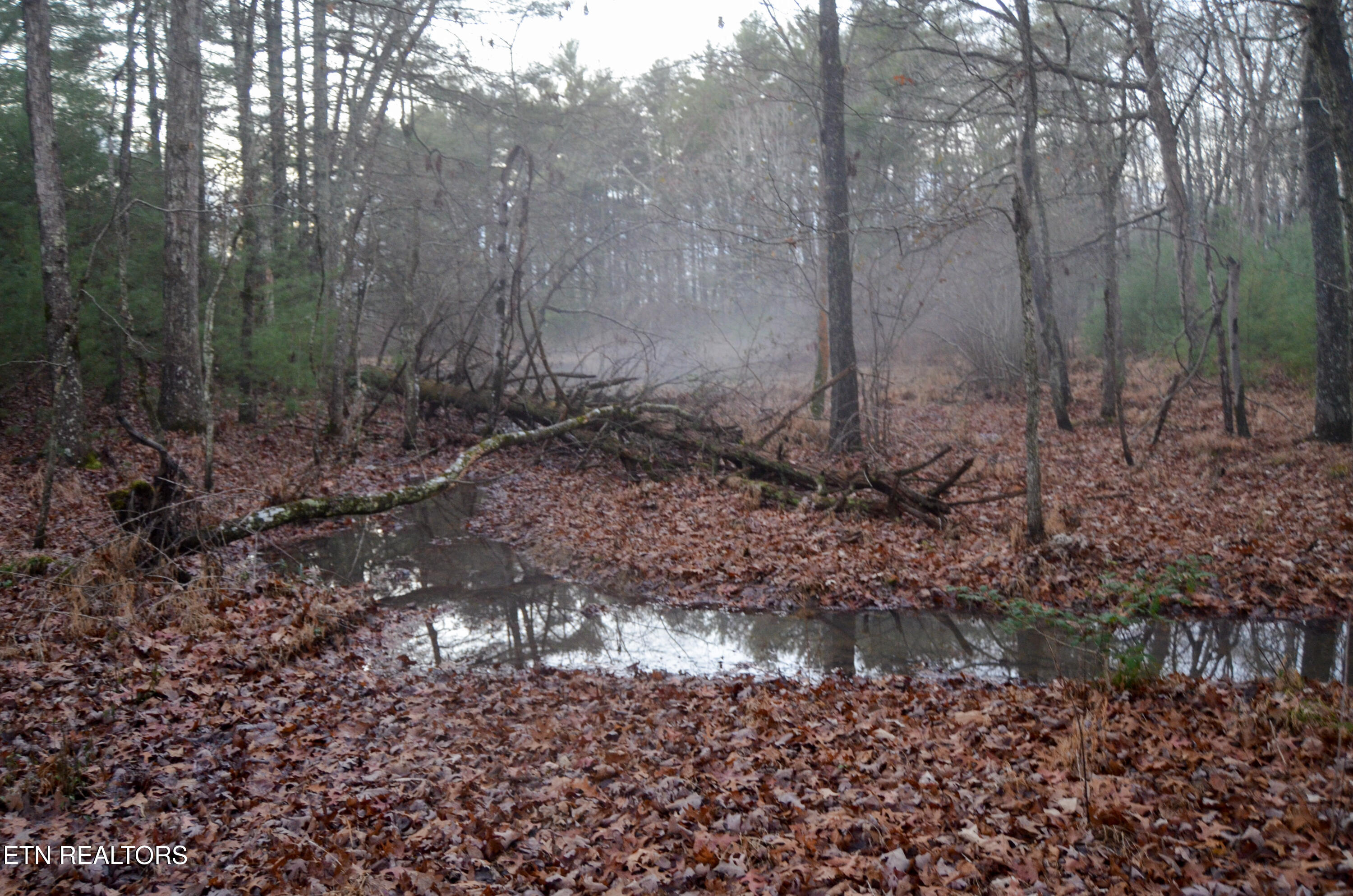 63.3 Acres Crossville, TN 38571 - Photo 23 of 60 7-DSC_0834