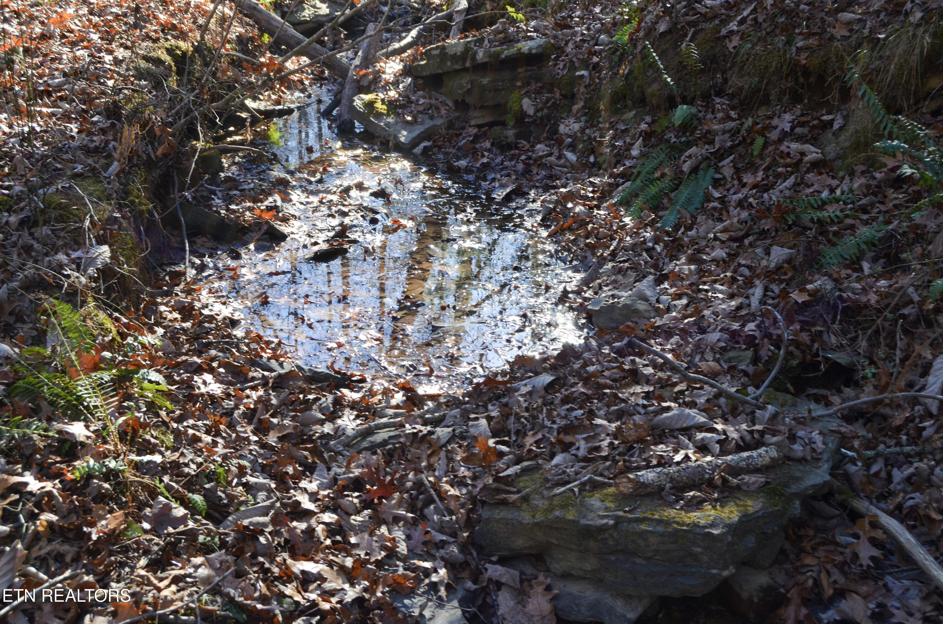 63.3 Acres Crossville, TN 38571 - Photo 24 of 60 15-DSC_0807
