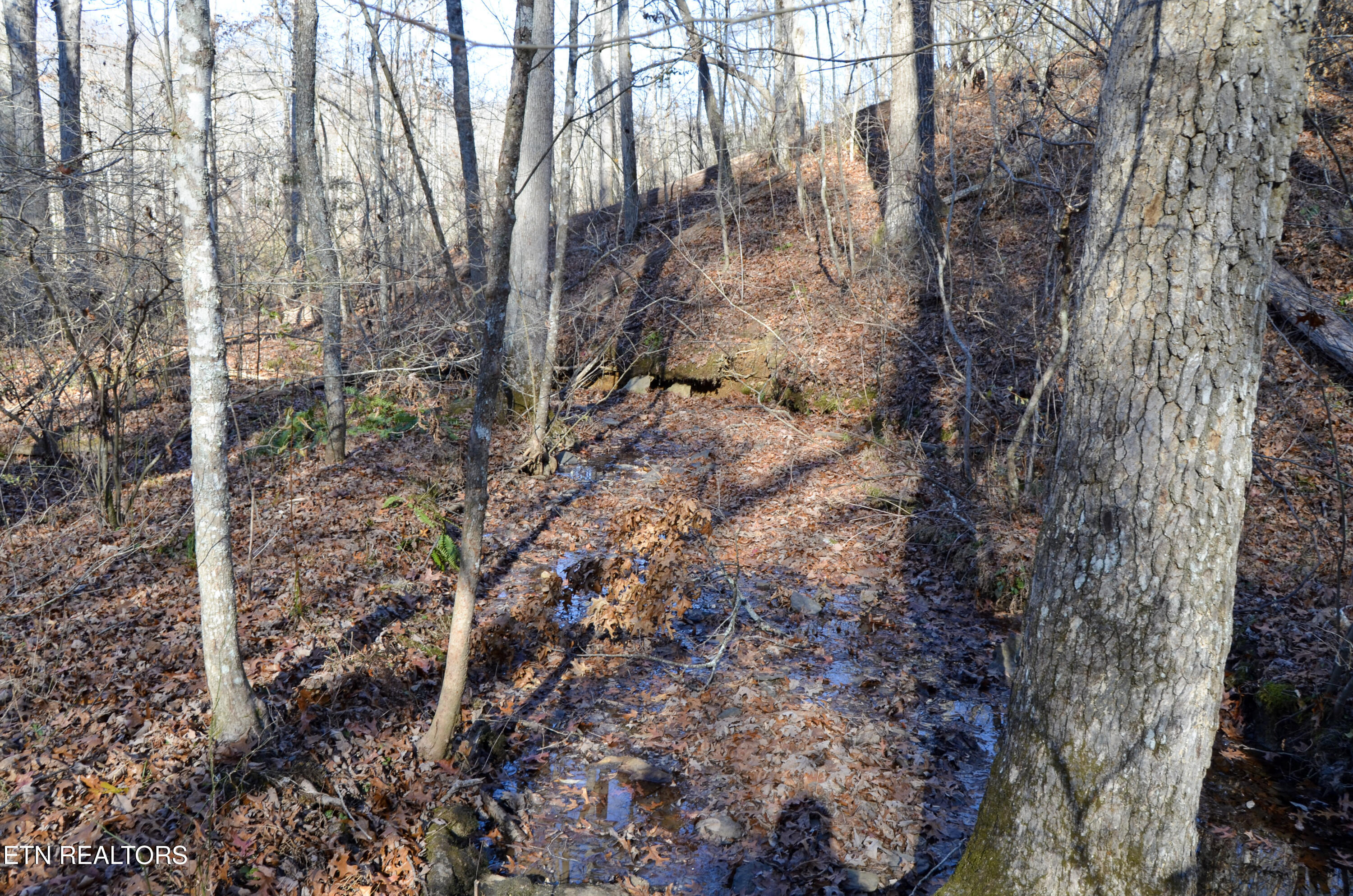 63.3 Acres Crossville, TN 38571 - Photo 25 of 60 29-DSC_0767