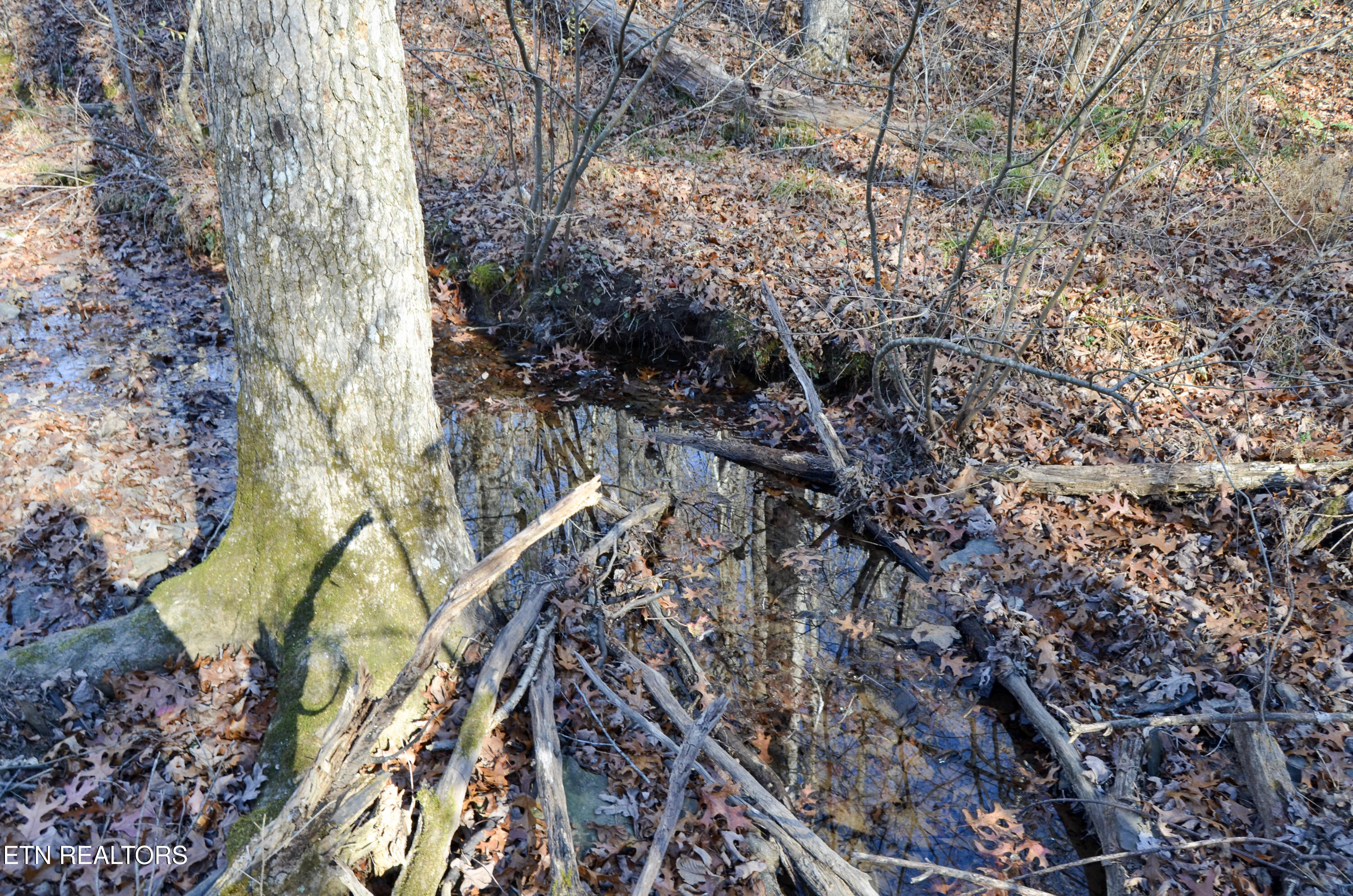 63.3 Acres Crossville, TN 38571 - Photo 26 of 60 30-DSC_0766