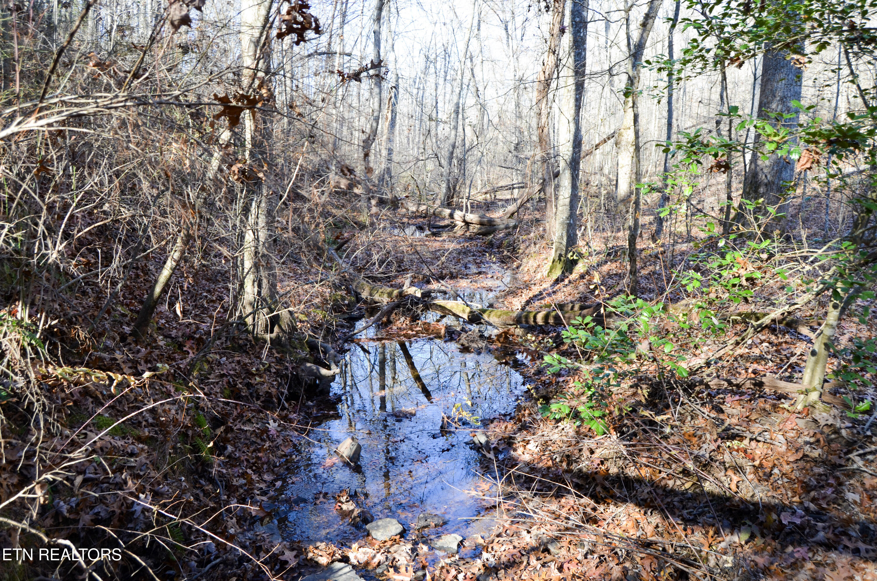 63.3 Acres Crossville, TN 38571 - Photo 28 of 60 32-DSC_0755