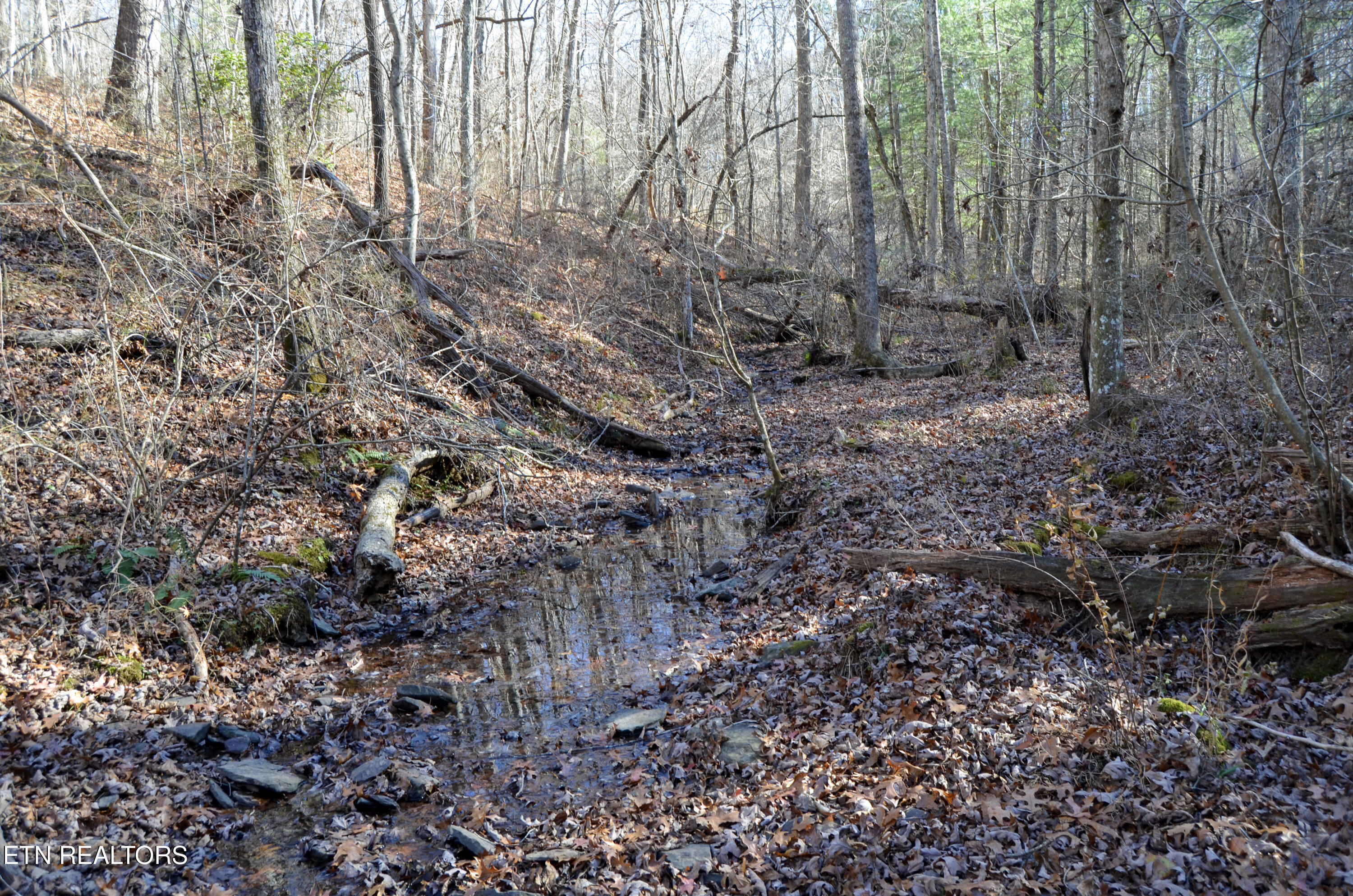 63.3 Acres Crossville, TN 38571 - Photo 30 of 60 33-DSC_0754