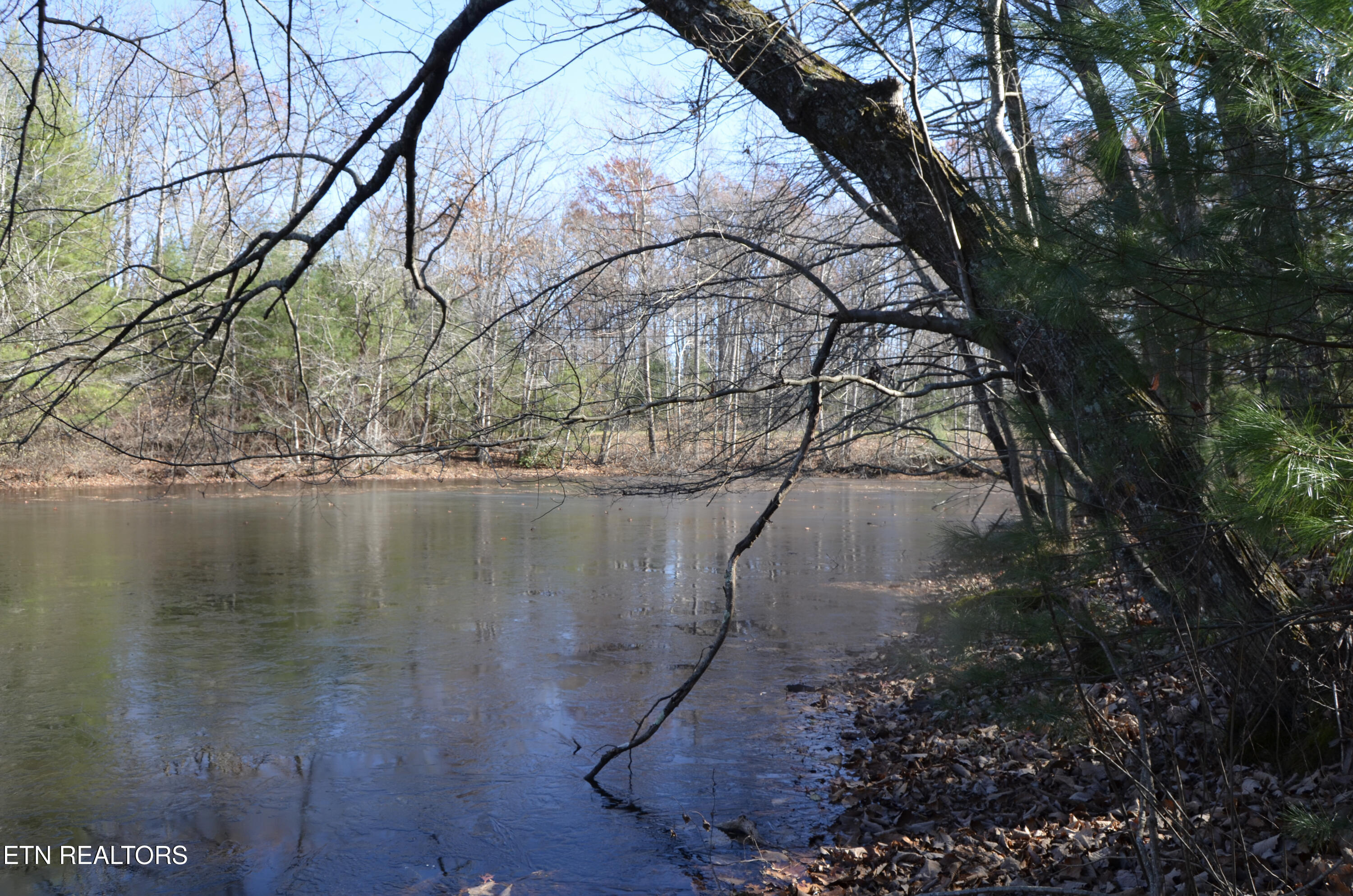 63.3 Acres Crossville, TN 38571 - Photo 3 of 60 50-DSC_0712