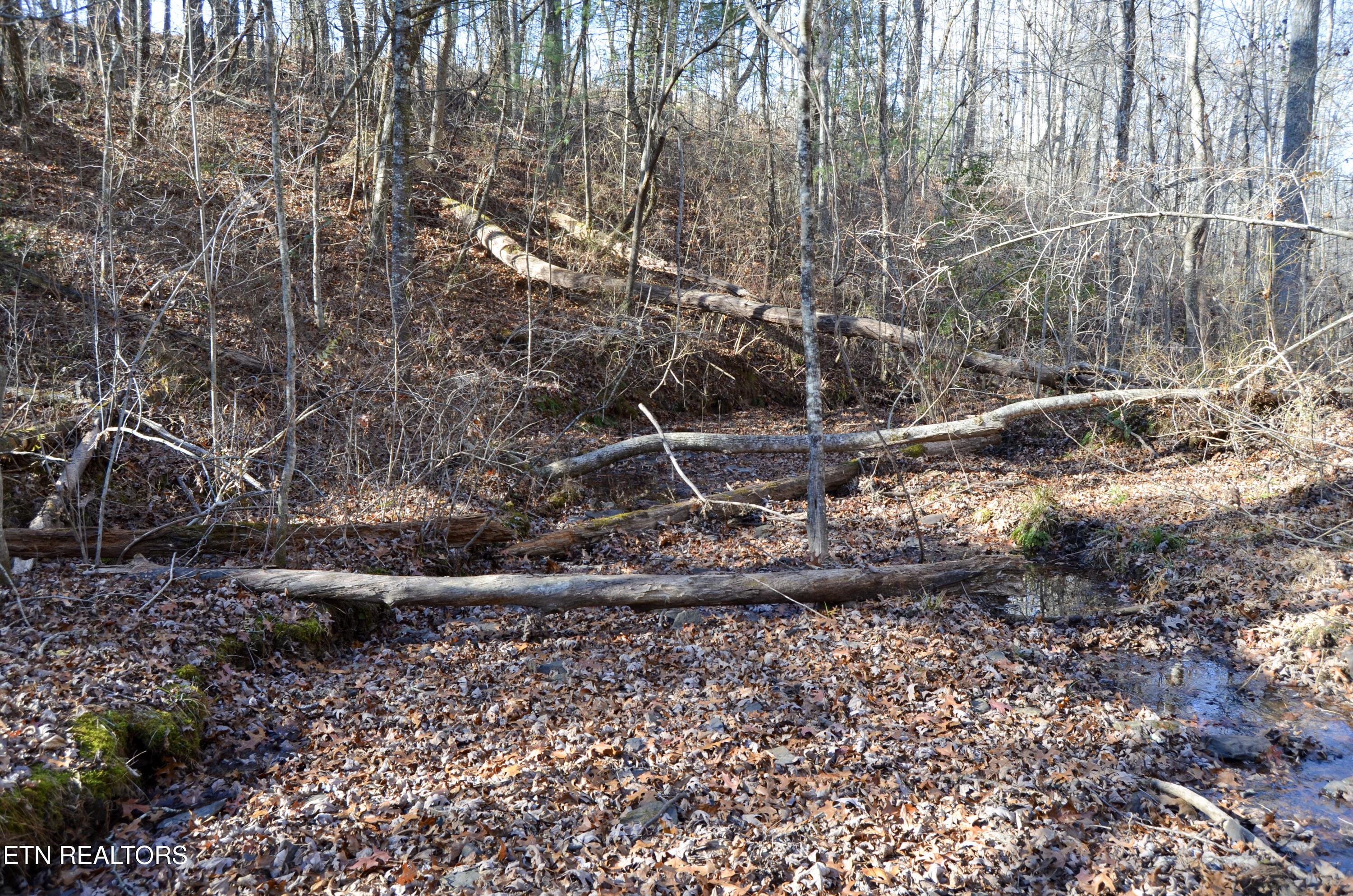 63.3 Acres Crossville, TN 38571 - Photo 31 of 60 34-DSC_0753
