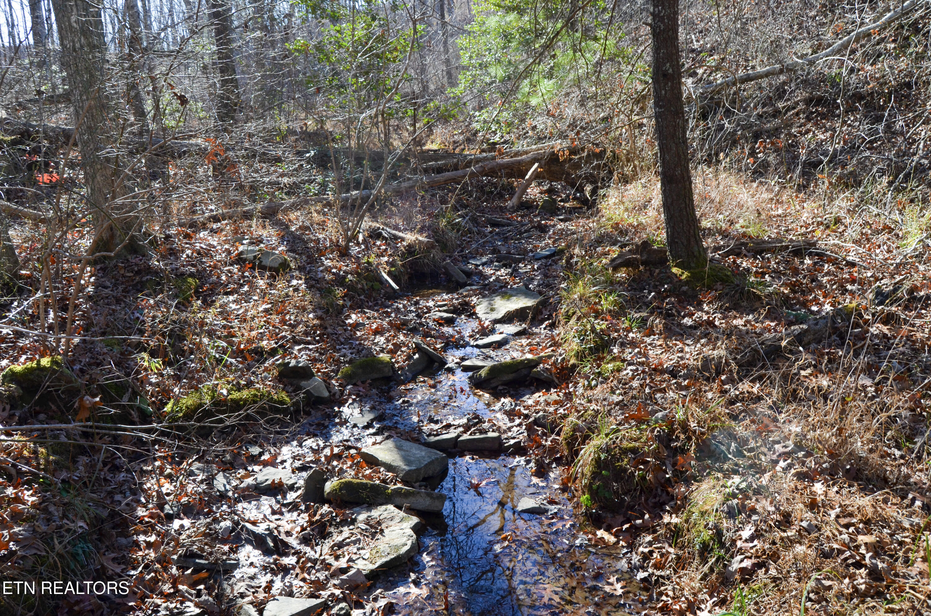 63.3 Acres Crossville, TN 38571 - Photo 32 of 60 39-DSC_0745