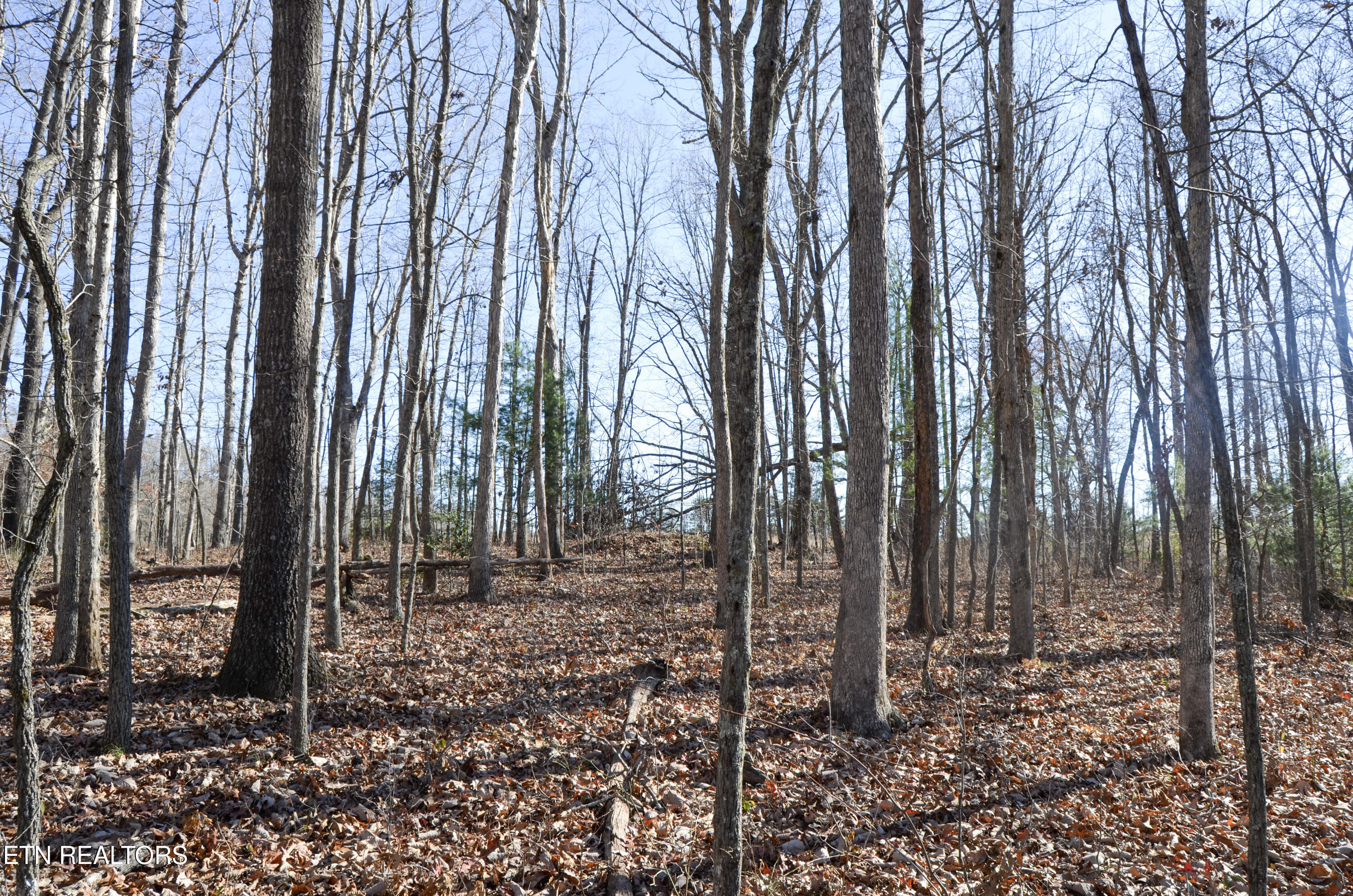 63.3 Acres Crossville, TN 38571 - Photo 33 of 60 42-DSC_0735
