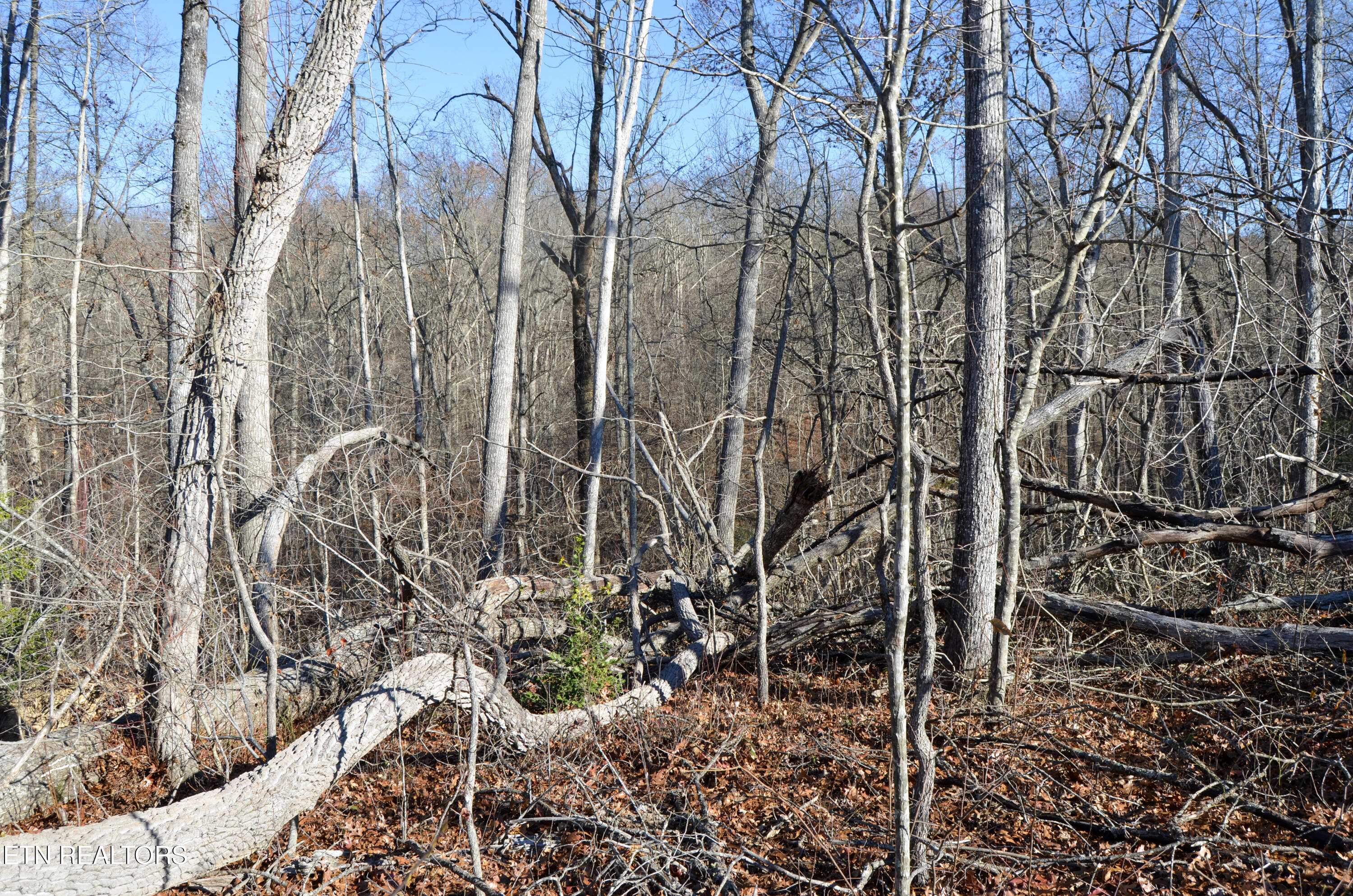 63.3 Acres Crossville, TN 38571 - Photo 35 of 60 18-DSC_0790