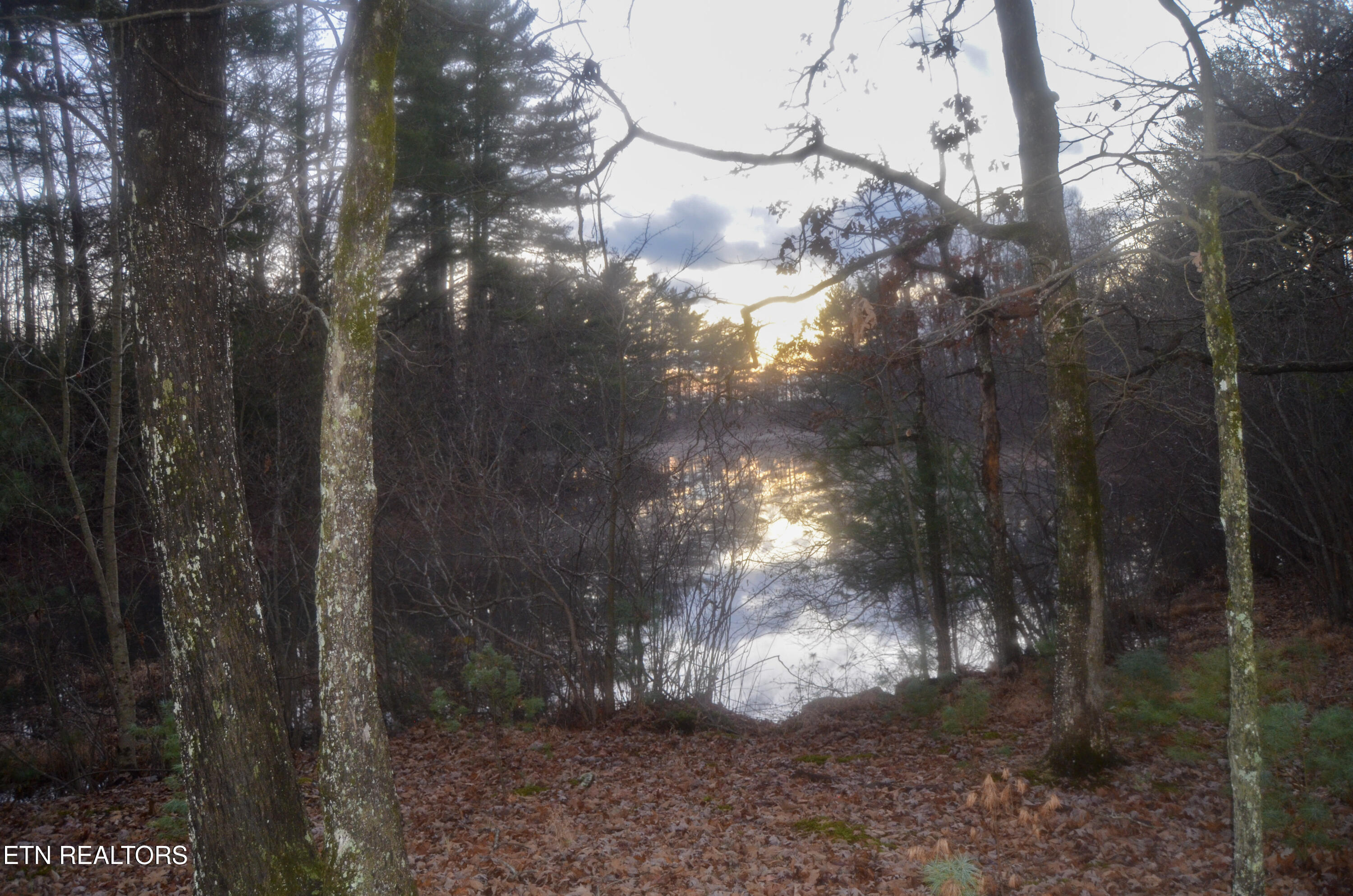 63.3 Acres Crossville, TN 38571 - Photo 4 of 60 5-DSC_0837