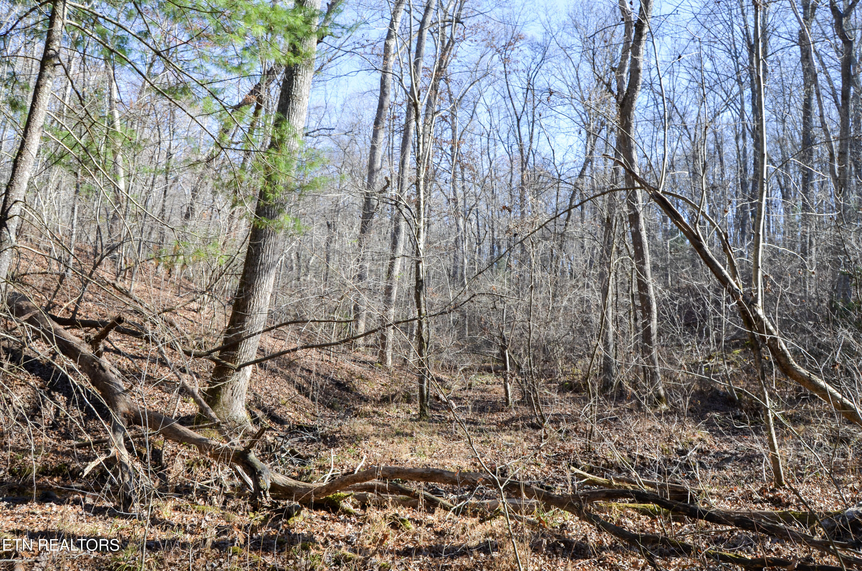 63.3 Acres Crossville, TN 38571 - Photo 43 of 60 36-DSC_0749