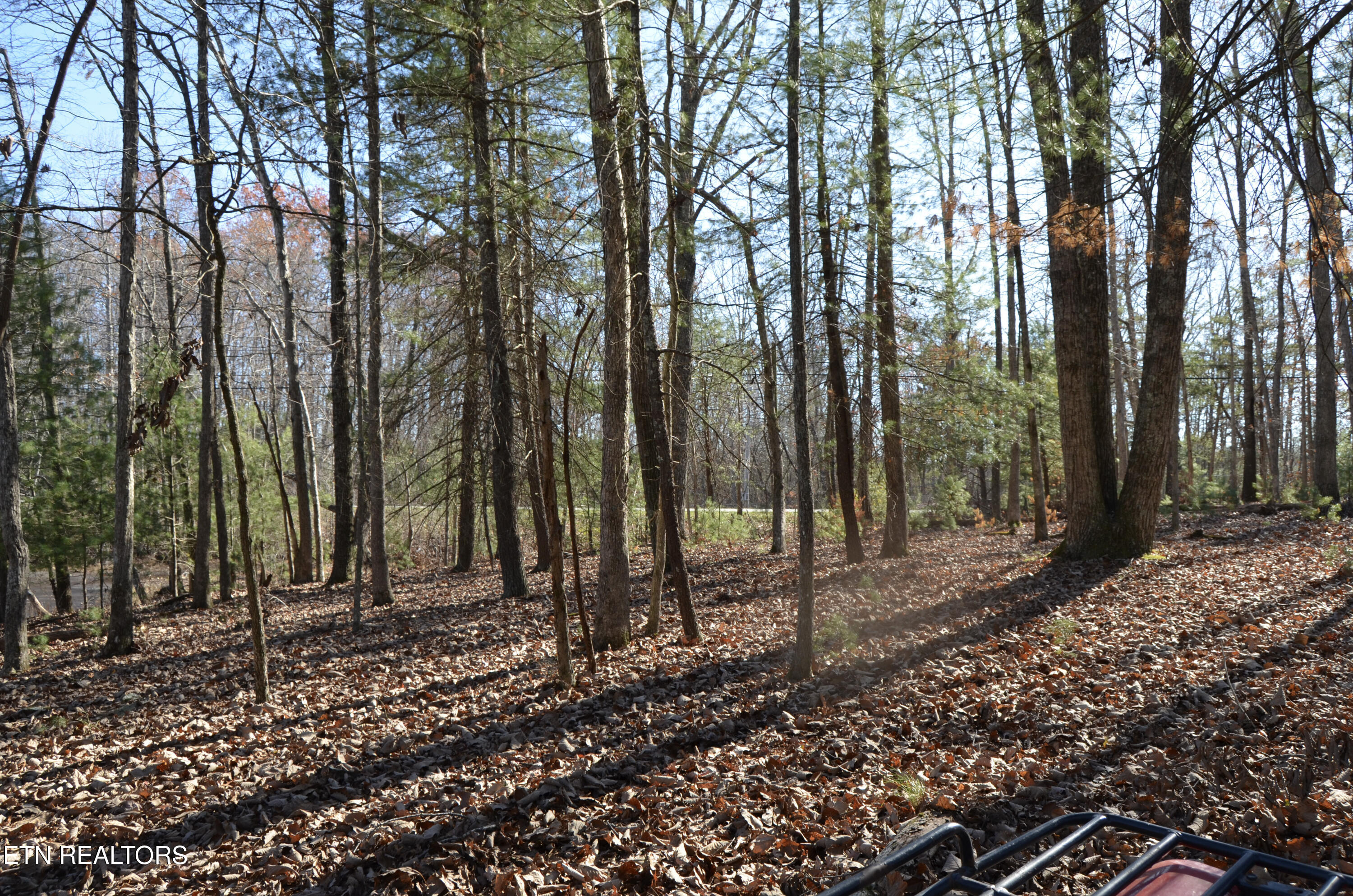 63.3 Acres Crossville, TN 38571 - Photo 48 of 60 55-DSC_0705