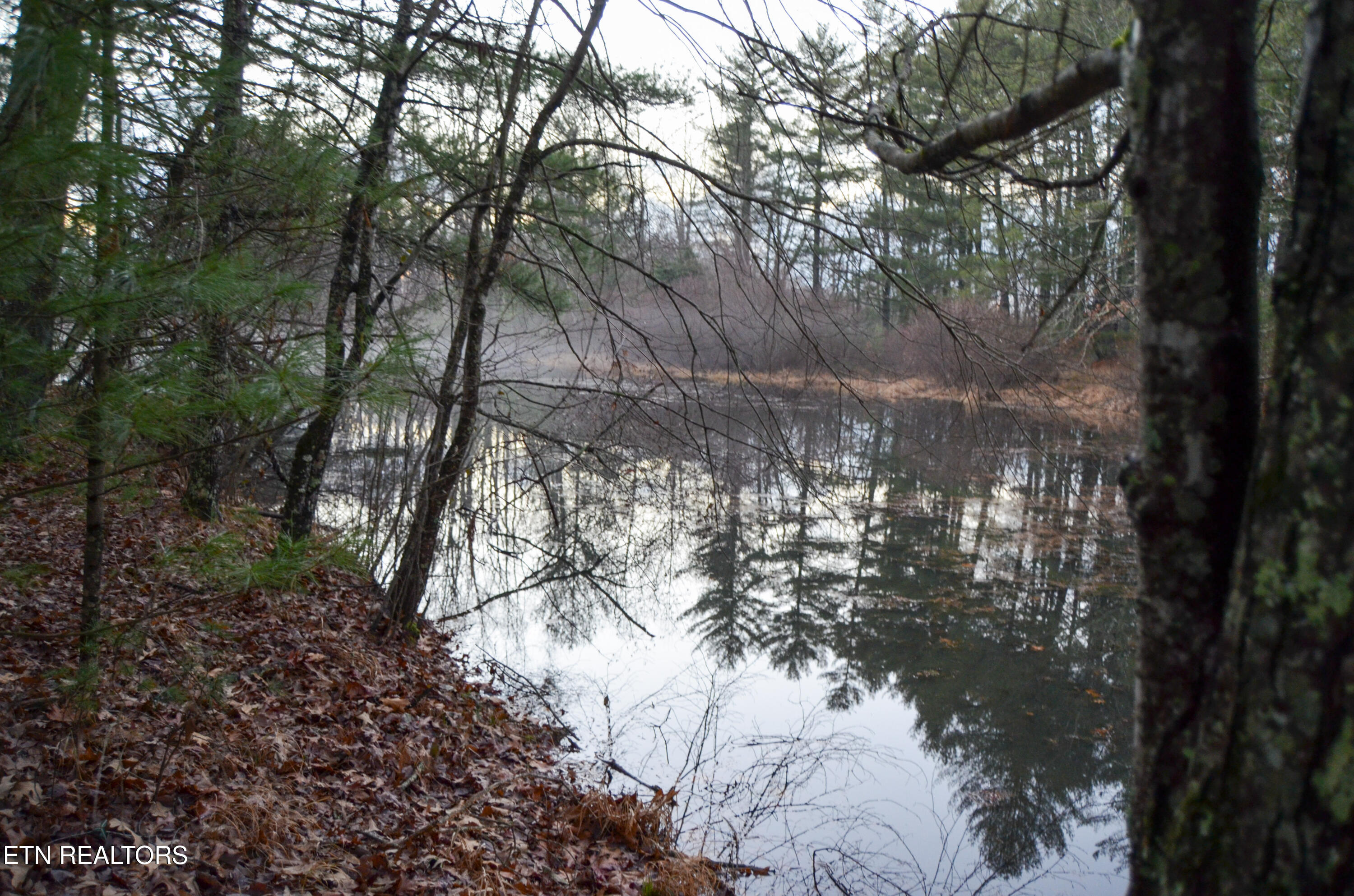 63.3 Acres Crossville, TN 38571 - Photo 5 of 60 8-DSC_0832