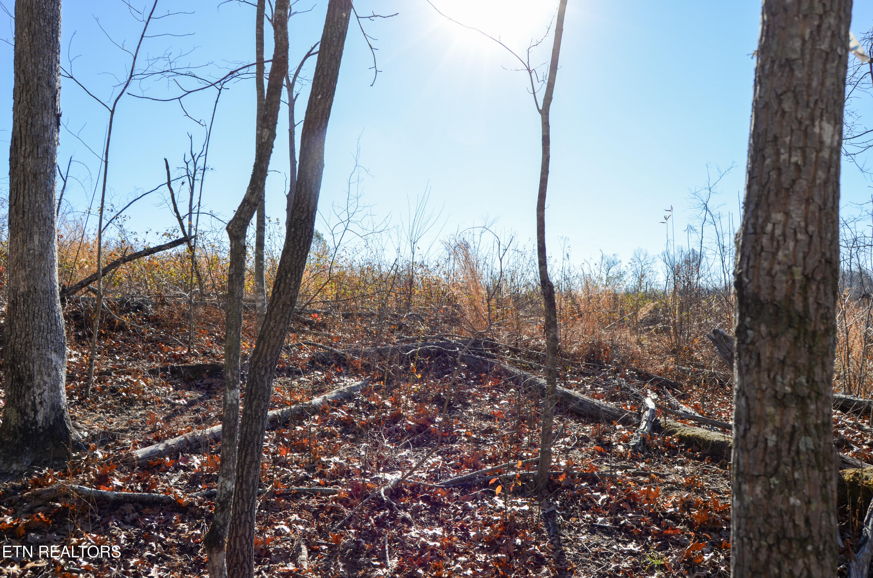 63.3 Acres Crossville, TN 38571 - Photo 51 of 60 23-DSC_0779