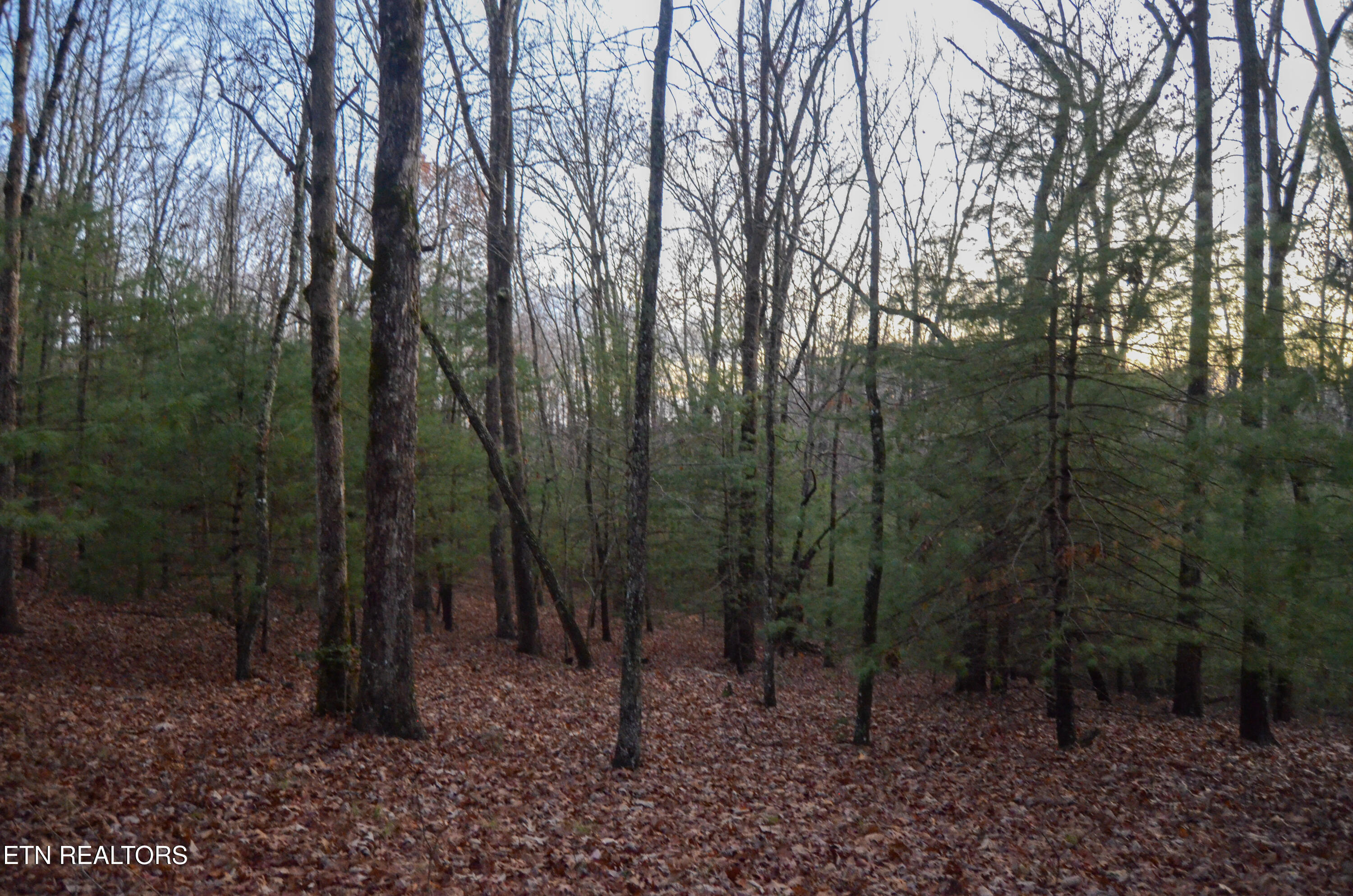 63.3 Acres Crossville, TN 38571 - Photo 53 of 60 1-DSC_0844