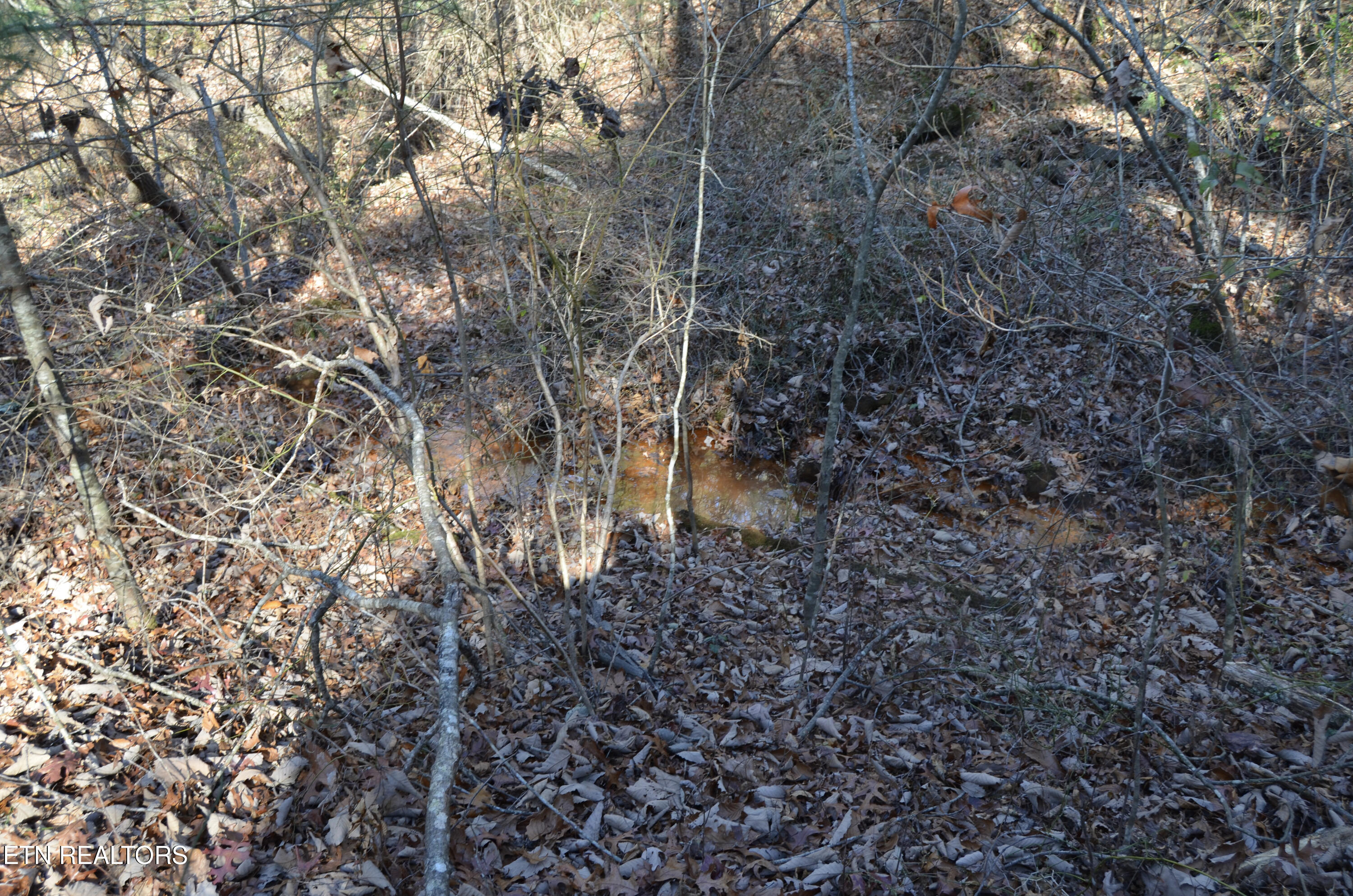 63.3 Acres Crossville, TN 38571 - Photo 57 of 60 45-DSC_0722
