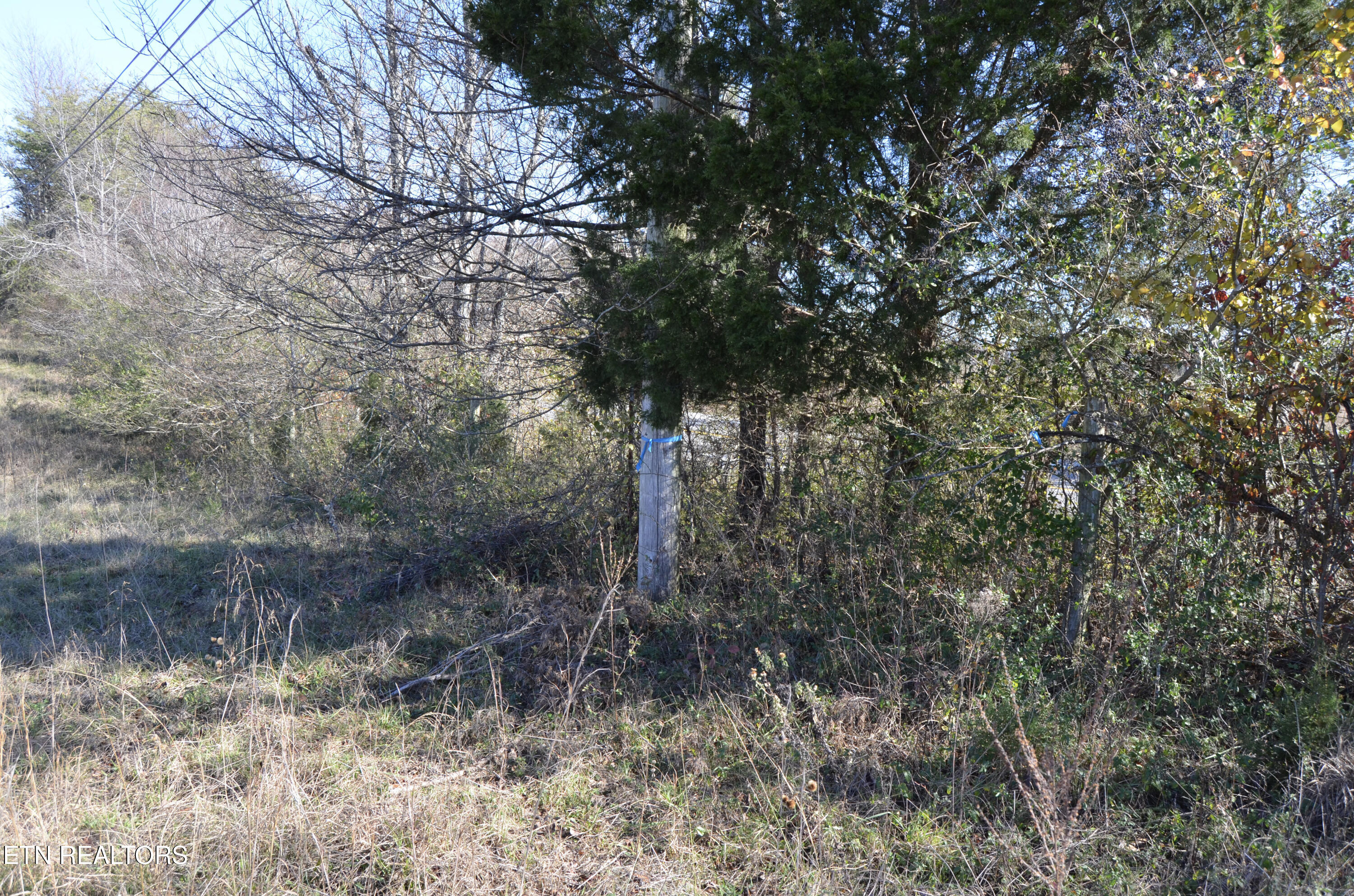 63.3 Acres Crossville, TN 38571 - Photo 58 of 60 60-DSC_0694