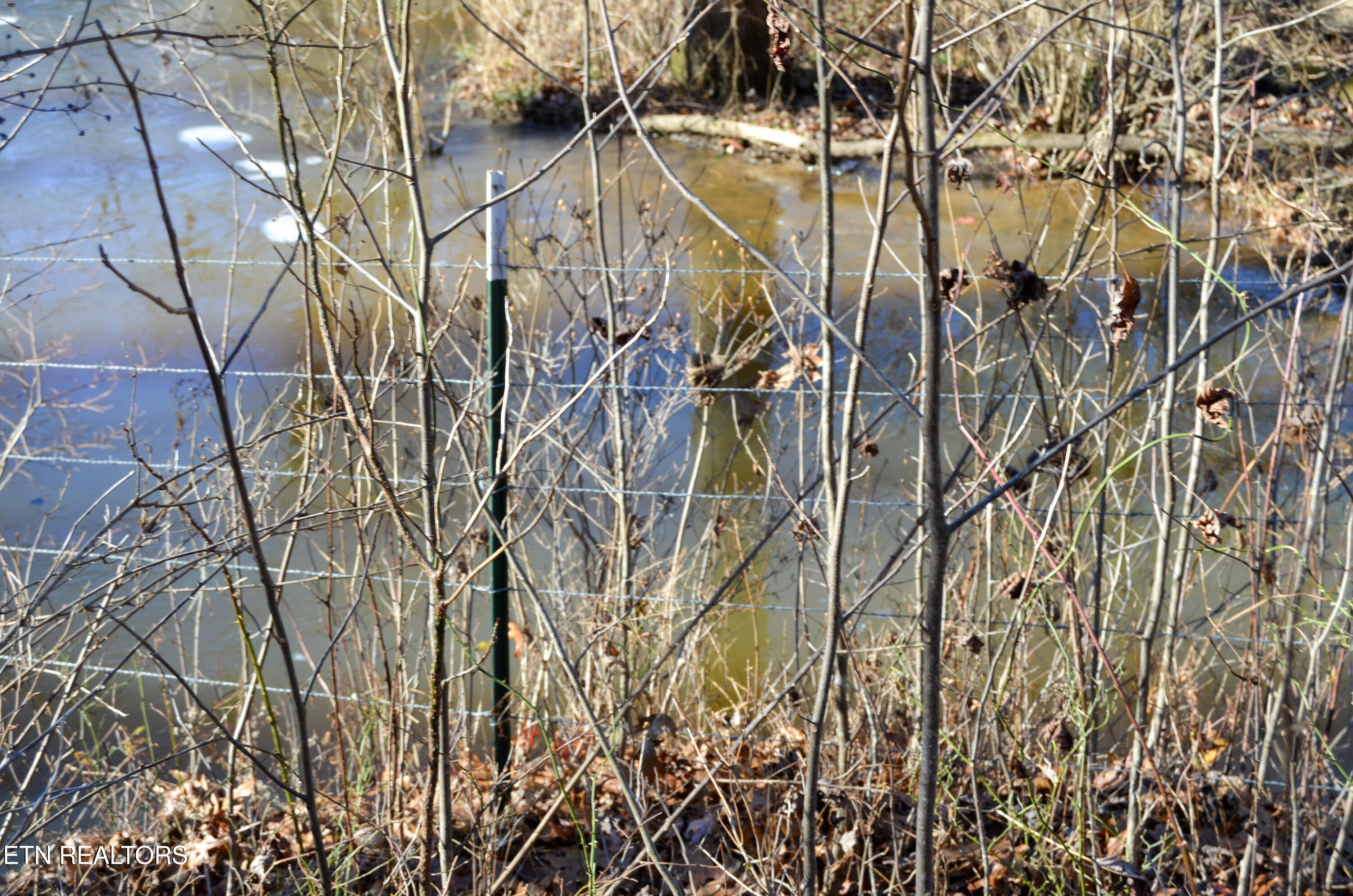 63.3 Acres Crossville, TN 38571 - Photo 59 of 60 27-DSC_0770