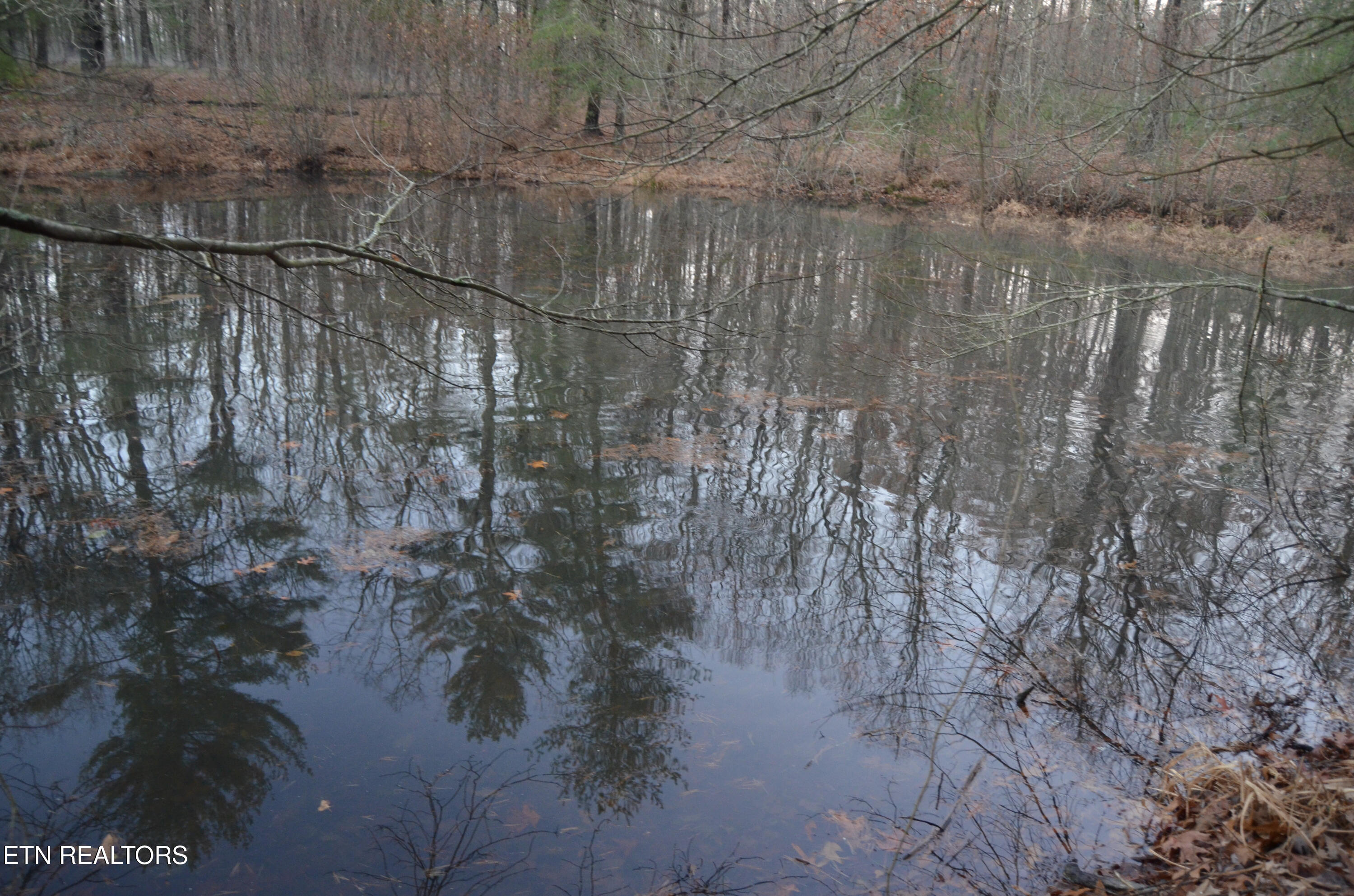 63.3 Acres Crossville, TN 38571 - Photo 6 of 60 9-DSC_0831