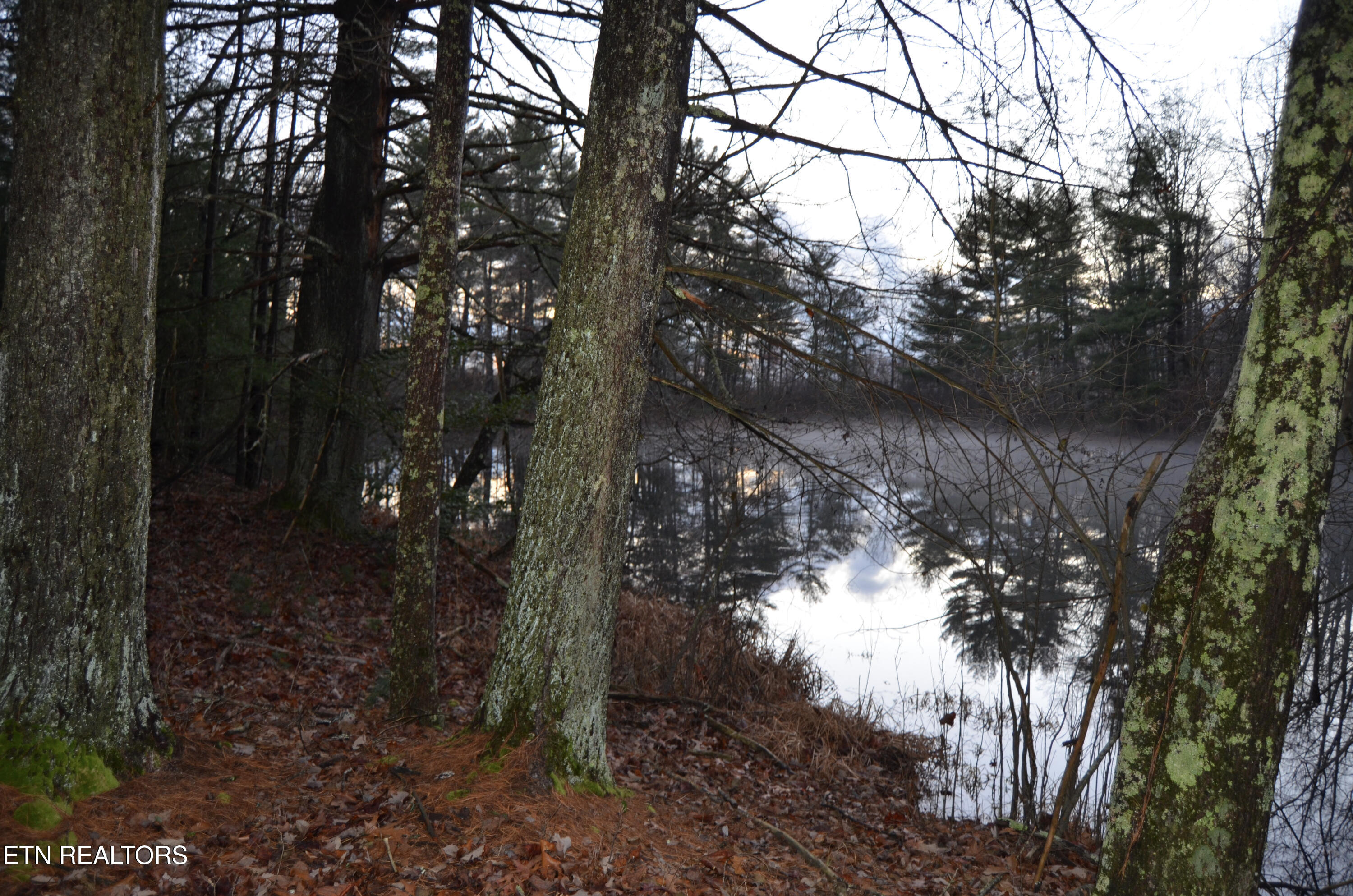 63.3 Acres Crossville, TN 38571 - Photo 7 of 60 10-DSC_0830