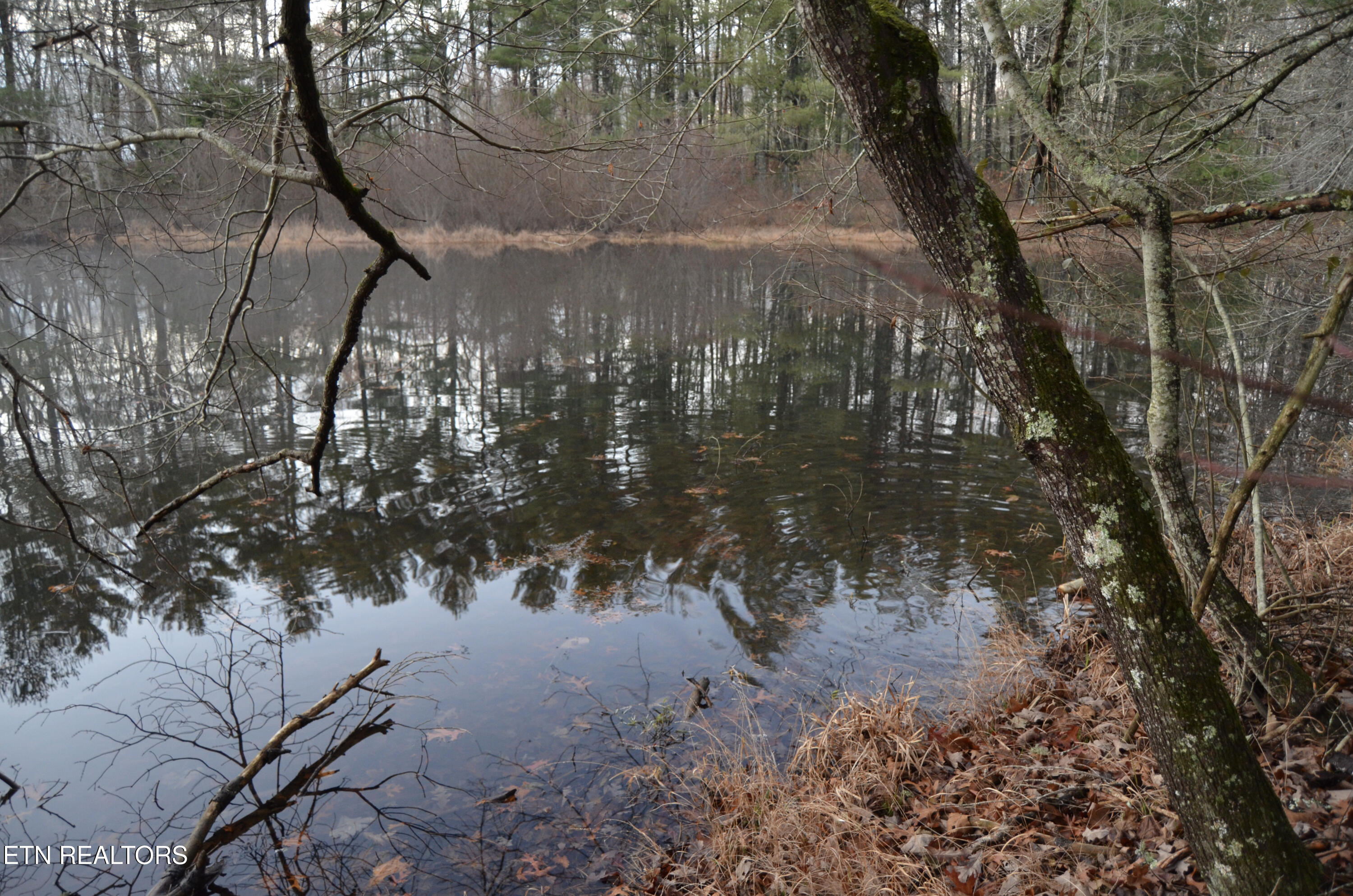 63.3 Acres Crossville, TN 38571 - Photo 8 of 60 11-DSC_0824