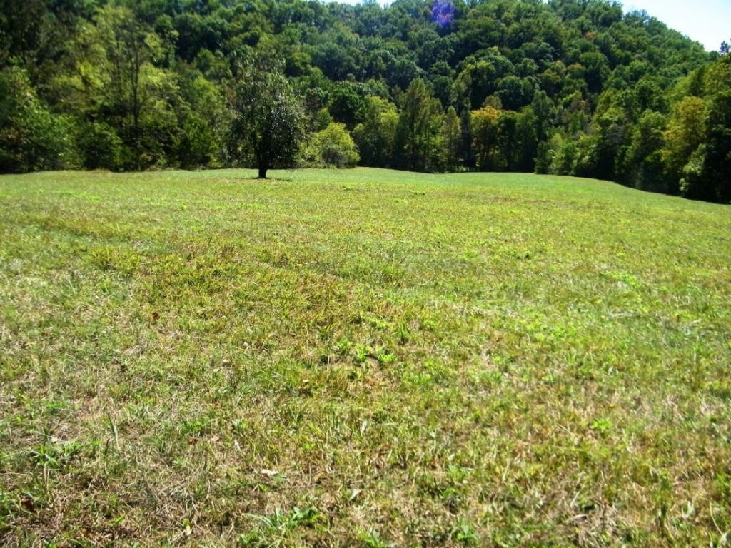 0 Back Valley Road Blackwater, VA 24221 - Photo 2 of 10 Photo 2