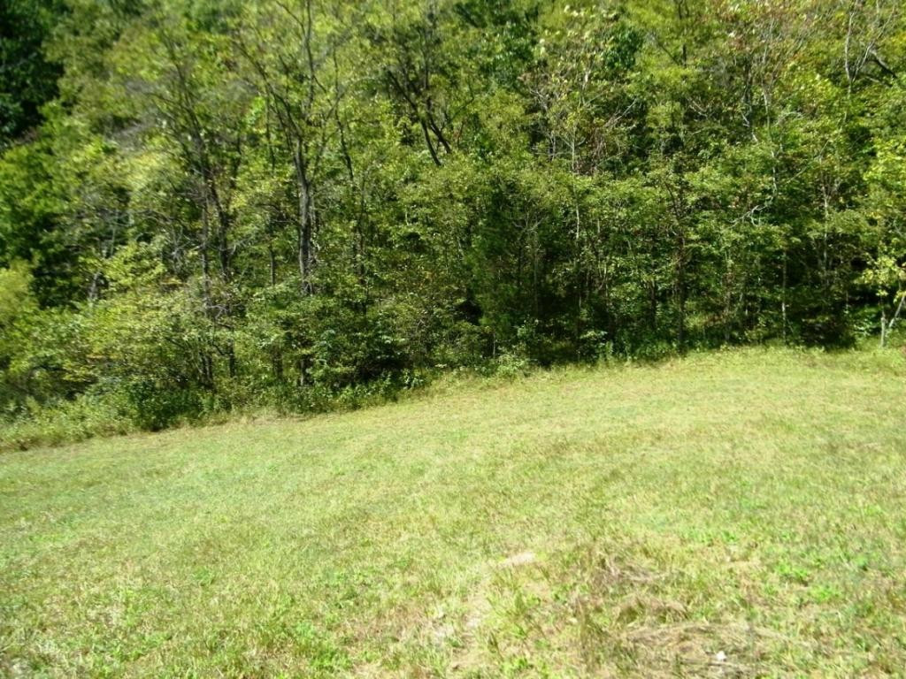 0 Back Valley Road Blackwater, VA 24221 - Photo 3 of 10 Photo 3