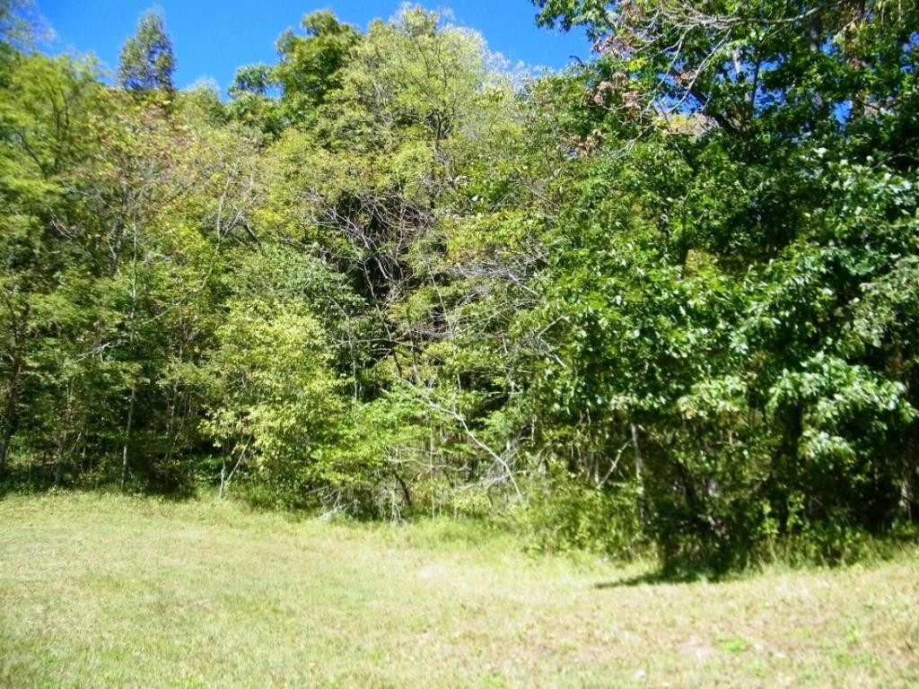 0 Back Valley Road Blackwater, VA 24221 - Photo 4 of 10 Photo 4