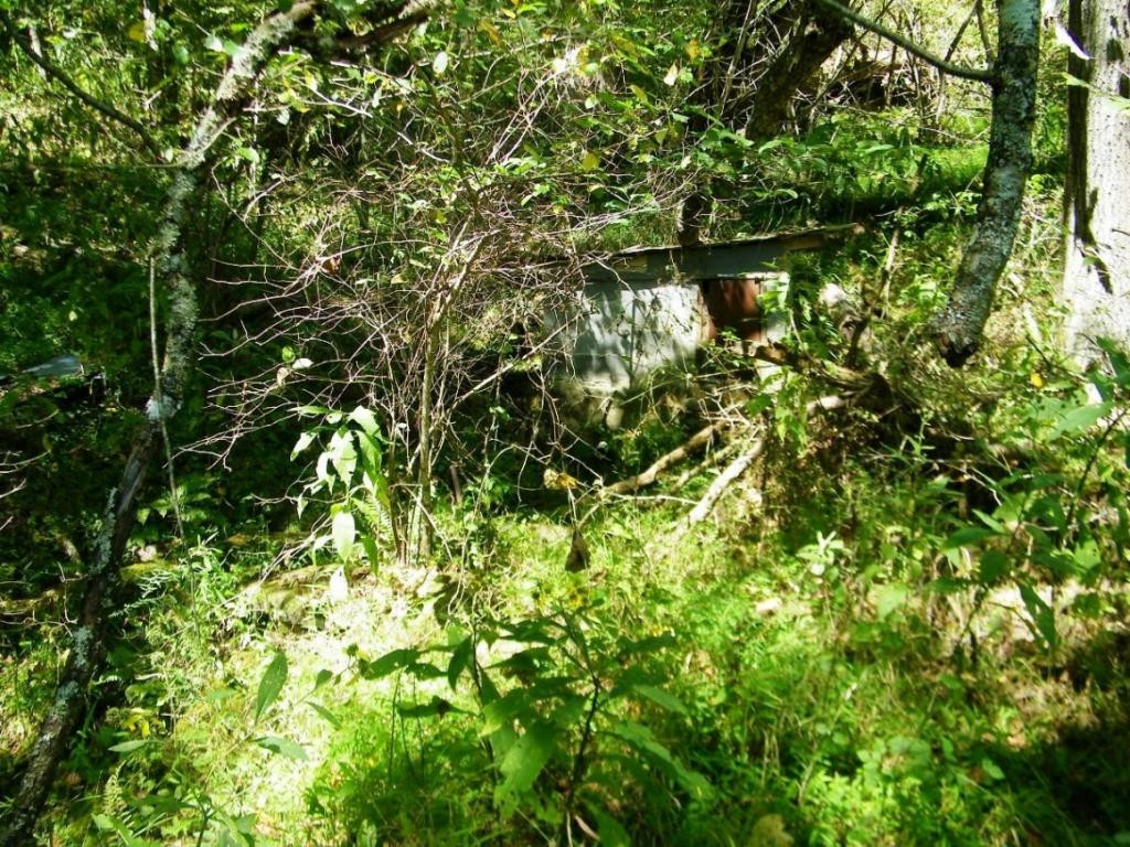 0 Back Valley Road Blackwater, VA 24221 - Photo 5 of 10 Photo 5