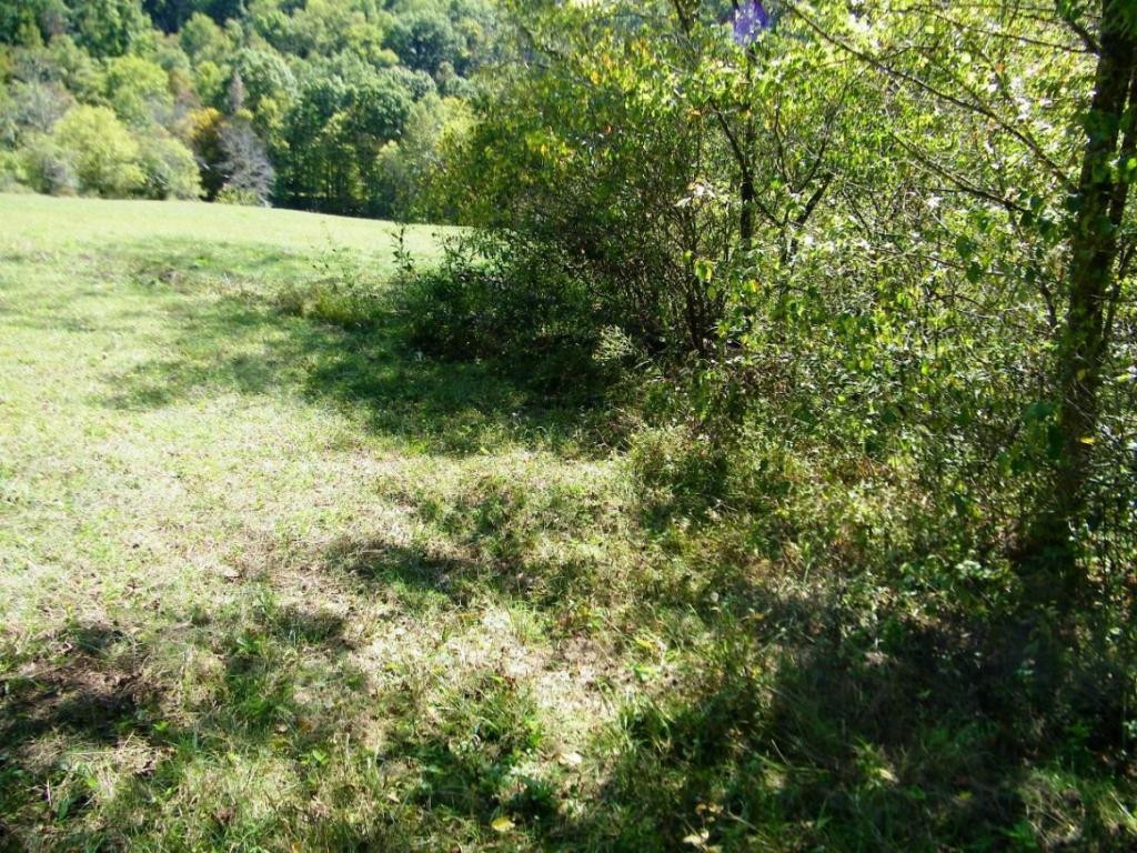 0 Back Valley Road Blackwater, VA 24221 - Photo 7 of 10 Photo 7