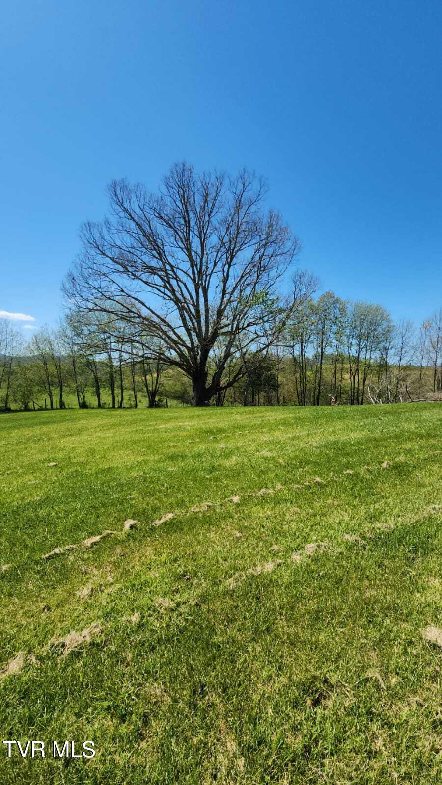 0 Dry Hill Road, Unit LOT 29 Butler, TN 37640 - Photo 11 of 11 IMG-20250416-WA0046
