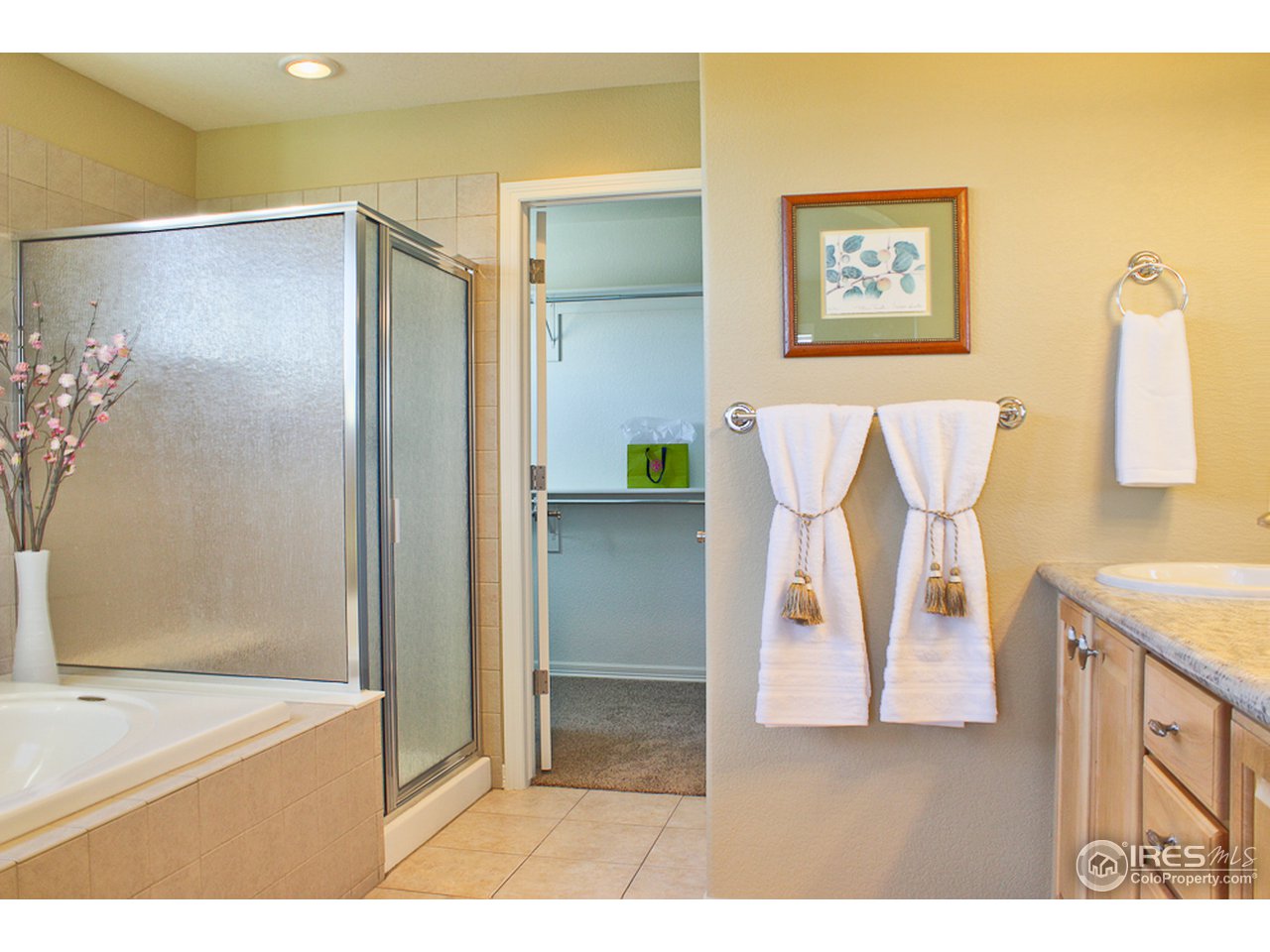 4393 Rabbit Mountain Road Broomfield, CO 80020 - Photo 13 of 23 Executive 5 piece bath with designer tile floors