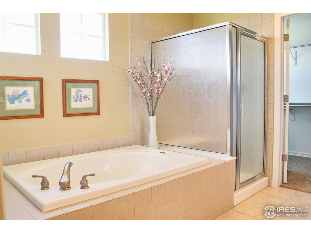 4393 Rabbit Mountain Road Broomfield, CO 80020 - Photo 15 of 23 Large Jacuzzi soaker tub and oversized shower