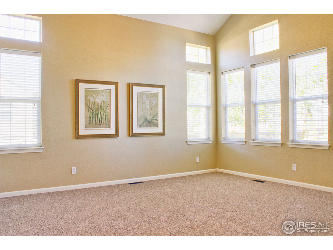 4393 Rabbit Mountain Road Broomfield, CO 80020 - Photo 10 of 23 Look at all the picture windows