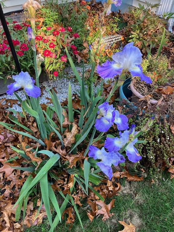 155 Brook Street Hudson, MA 01749 - Photo 37 of 42