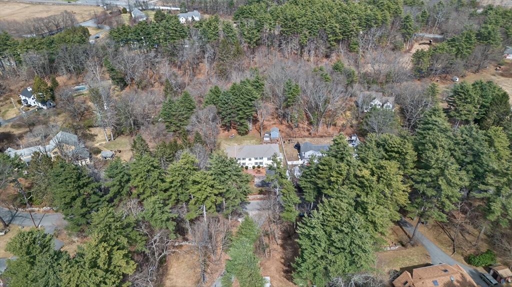 155 Brook Street Hudson, MA 01749 - Photo 40 of 42 a view of a forest with a house