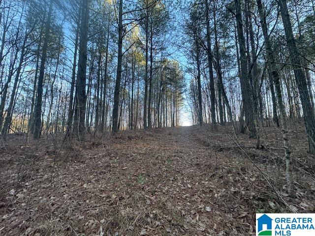 170 Valley Grove Road, Unit 45 AC Cragford, AL 36255 - Photo 14 of 19