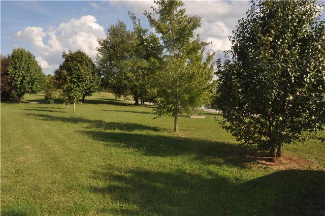 5176 Drake Road Cedar Hill, TN 37032 - Photo 4 of 19 Gallery Image 4