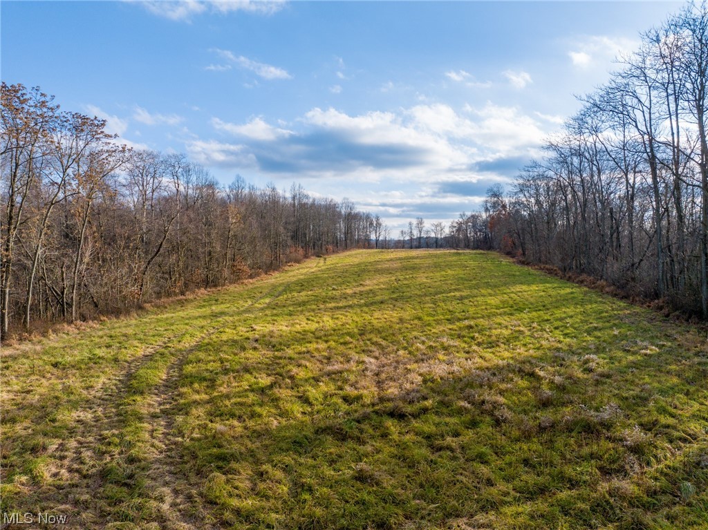 Boden Road New Concord, OH 43762 - Photo 6 of 19 View of yard