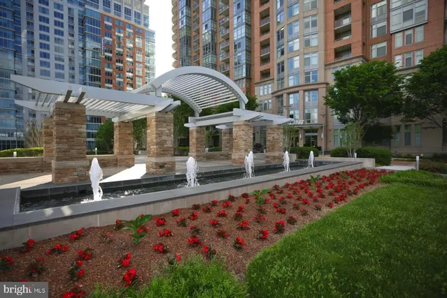 a living room with a couch and a potted plant