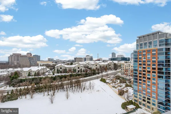 a living room with a couch and a potted plant