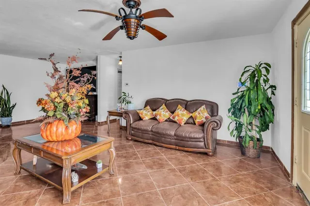 a living room with furniture flowerpot and a potted plant