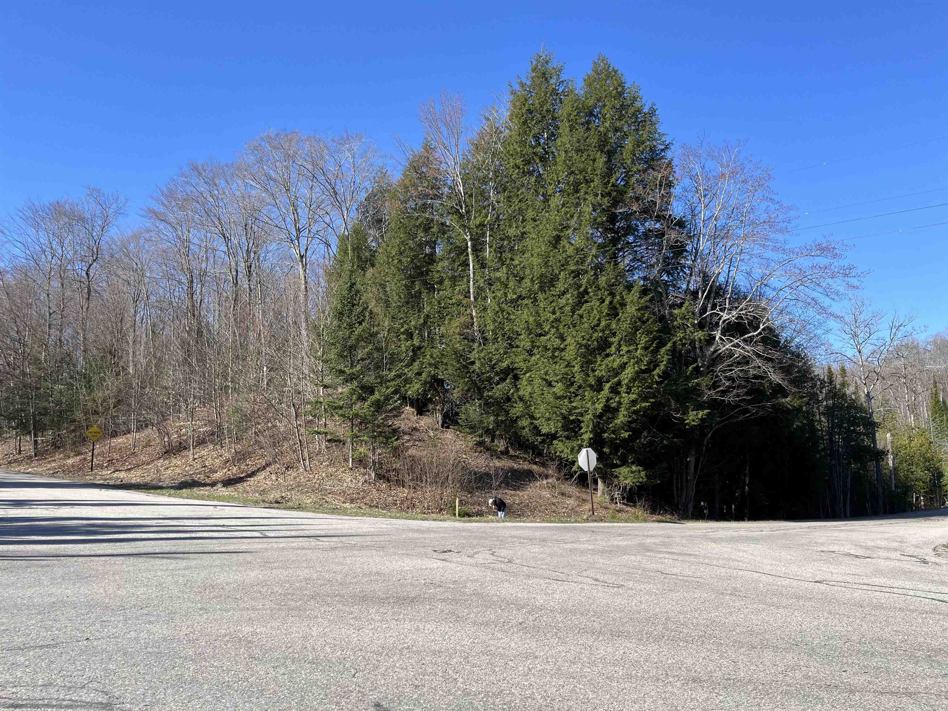 0 Valley Road, Unit LOT: 1A Alanson, MI 49706 - Photo 2 of 18