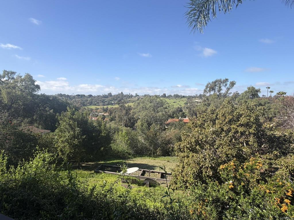 5810 Loma Verde Drive Rancho Santa Fe, CA 92067 - Photo 17 of 18 a view of a city with lush green forest