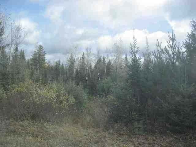 Tbd Tbd Cth Ff Mercer, WI 54547 - Photo 2 of 11 Gallery Image 2