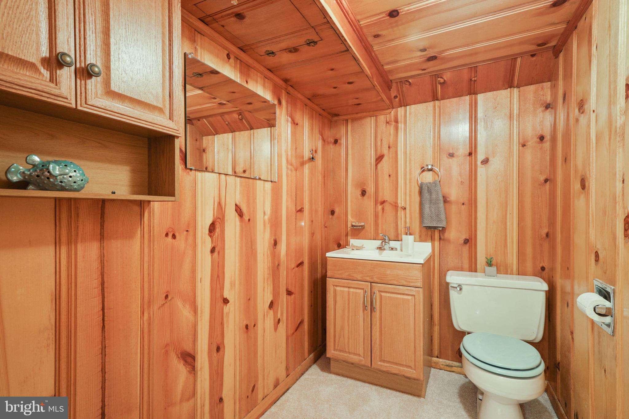 1107 Oakland Terrace Road Halethorpe, MD 21227 - Photo 34 of 42 Basement Half Bath