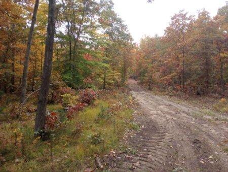 9 9 Mile Road Lakeview, MI 48850 - Photo 6 of 7