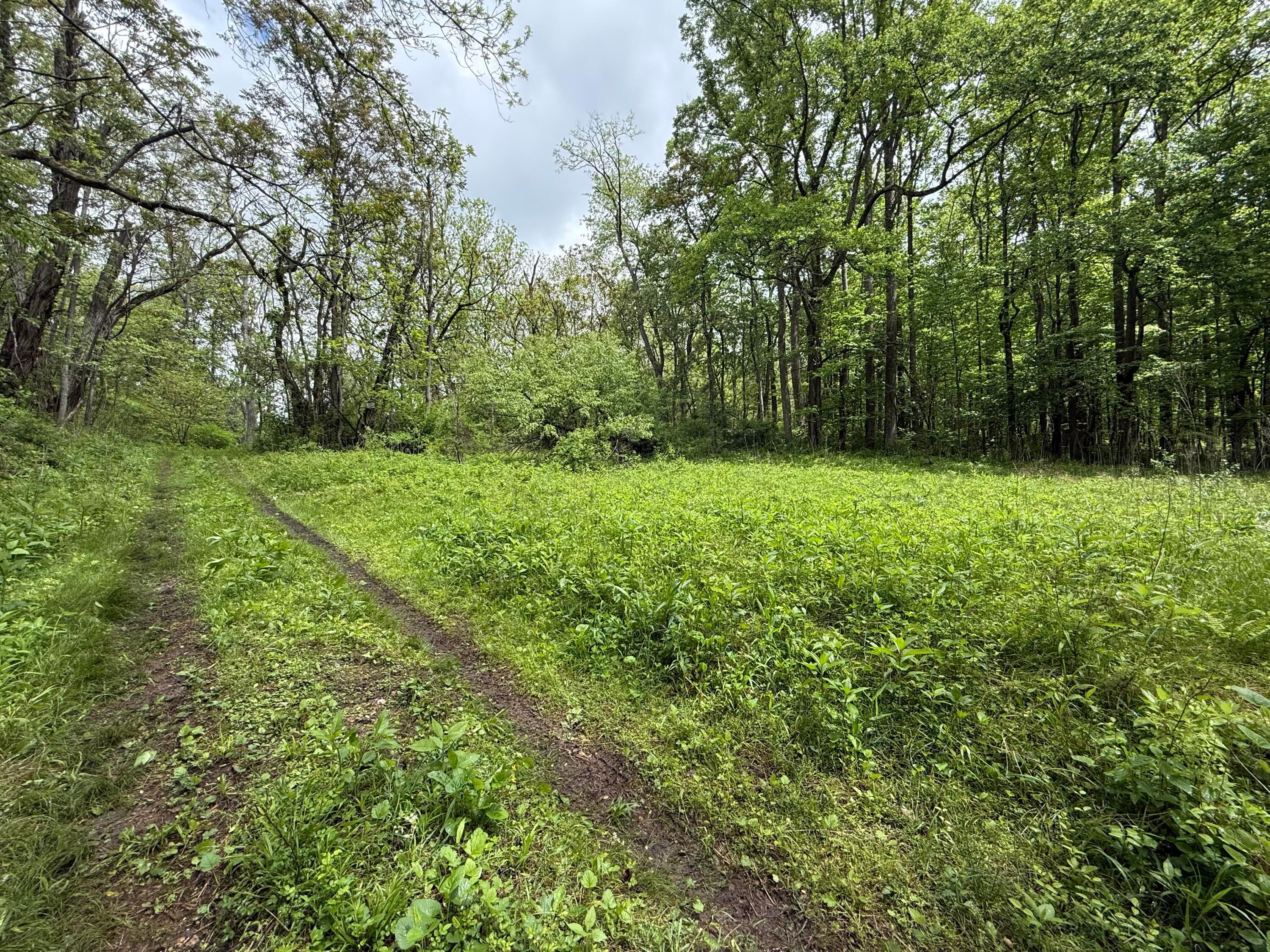 29500 Fairview Ridge Road Logan, OH 43138 - Photo 56 of 73 IMG_2305