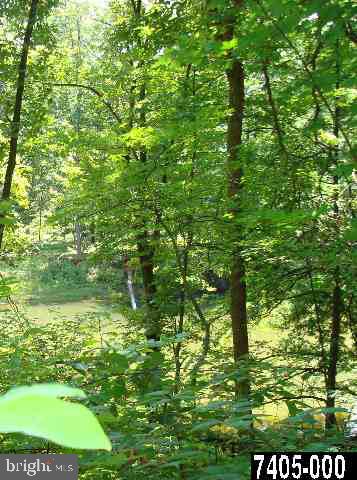 Lot #1 Red Tank Road Boiling Springs, PA 17007 - Photo 8 of 10 Gallery Image 8