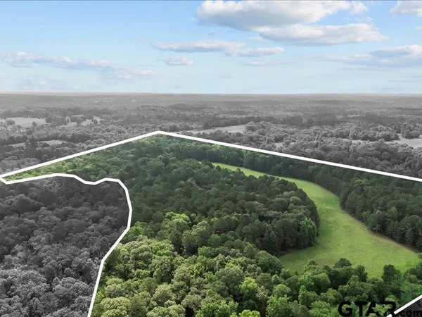 a view of a yard with a wooden fence